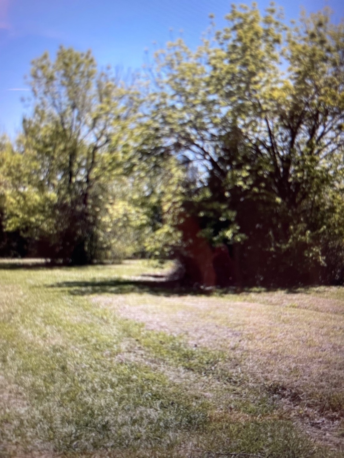 Property photo 03 of 37 Hanna Cove Drive, Denison, TX 75020 | MLS #21019494
