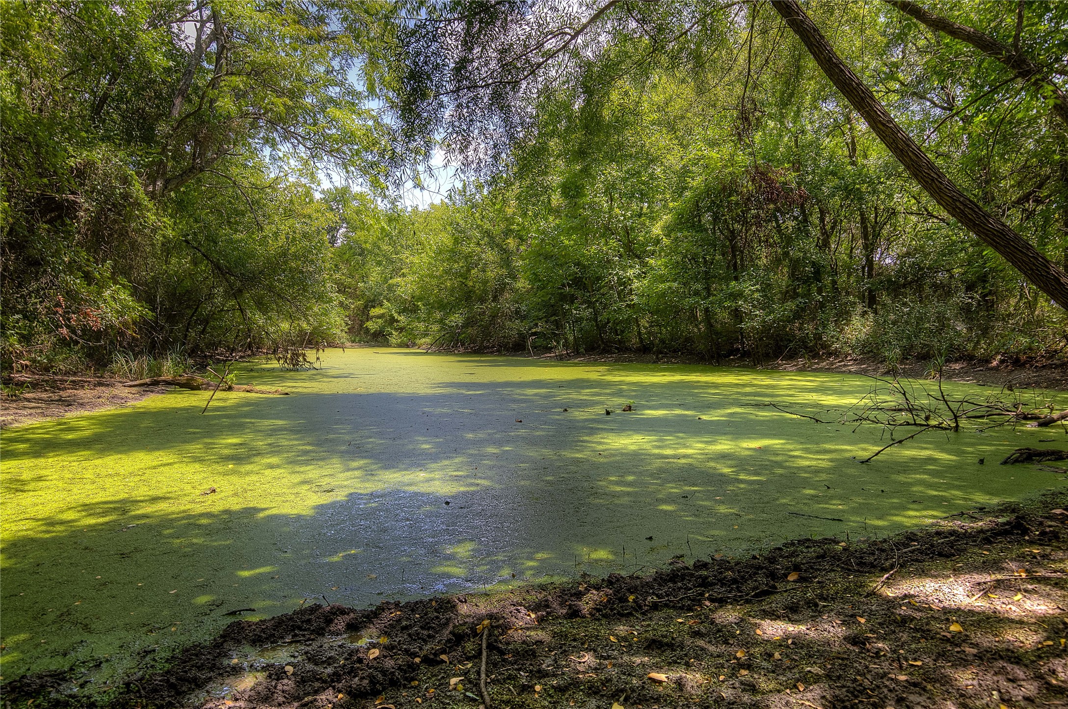 Property photo 03 of 8088 Fm 118, Commerce, TX 75428 | MLS #21023615