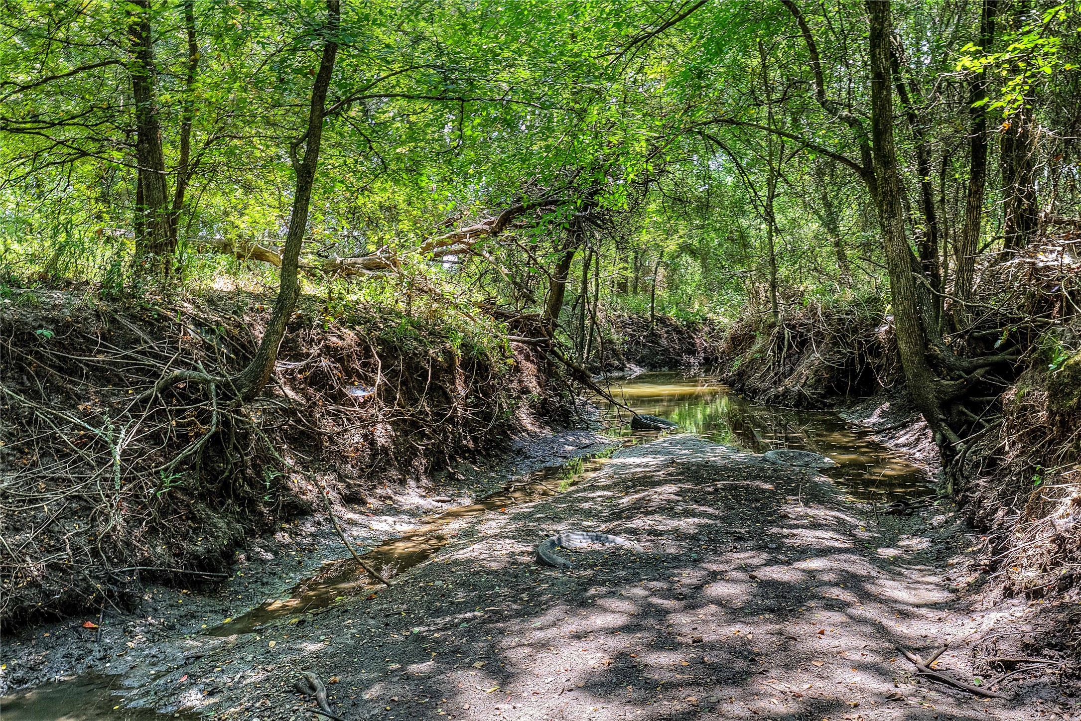 Property photo 04 of 8088 Fm 118, Commerce, TX 75428 | MLS #21023615