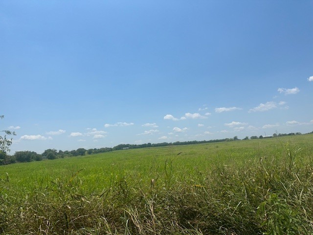Property photo 03 of 10328 County Road 418, Grandview, TX 76050 | MLS #21024228