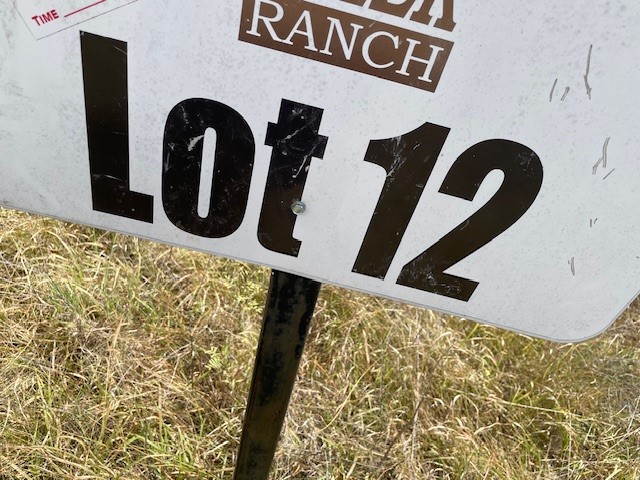 217 Park Meadows Drive, Gustine, TX, 76455
