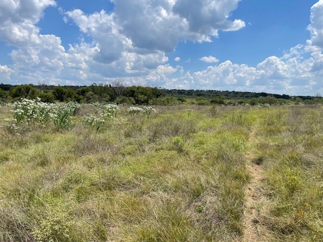 217 Park Meadows Drive, Gustine, TX, 76455