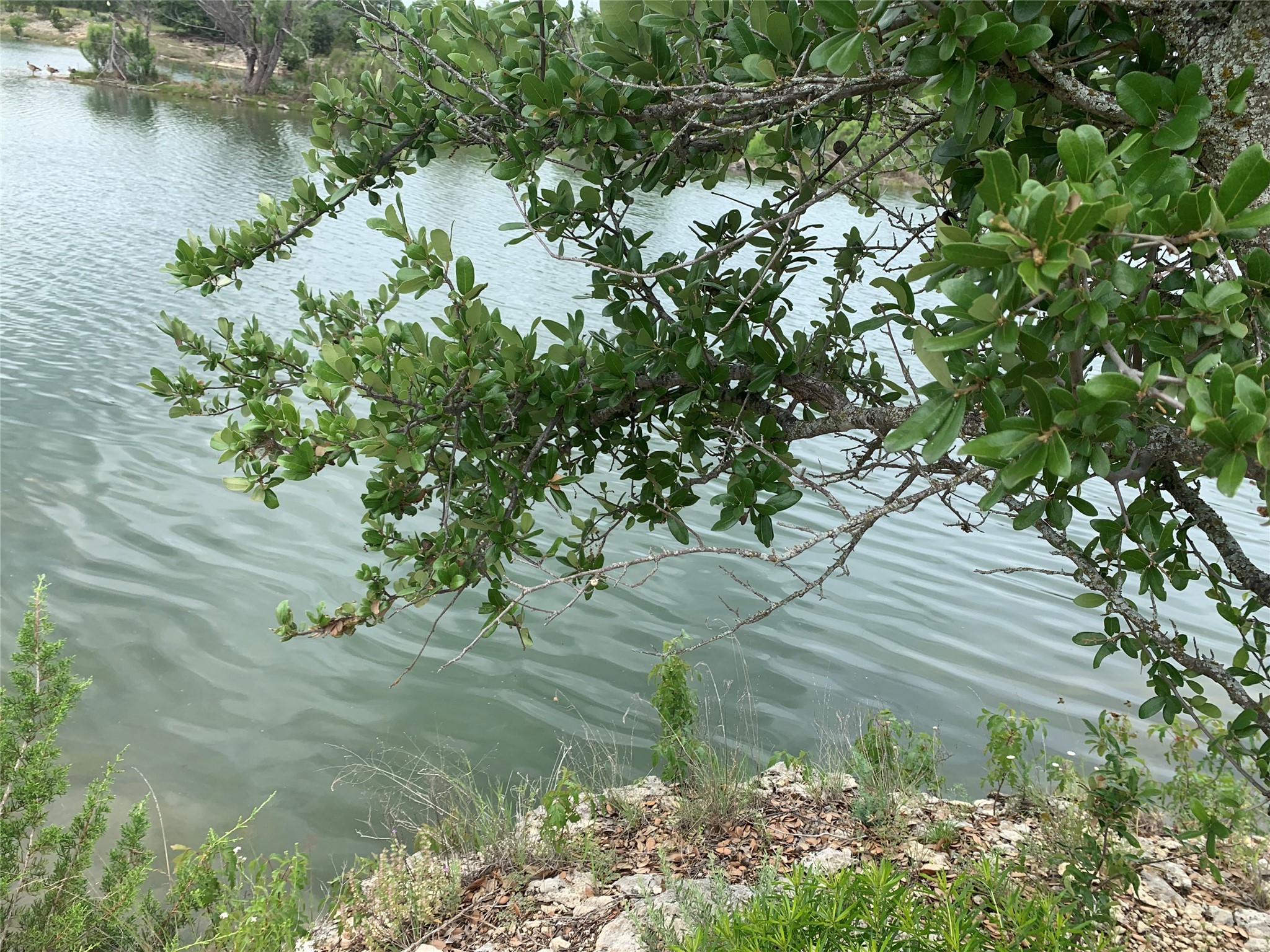 Property photo 03 of 000 Anglers Point Bluff, Dale, TX 76433 | MLS #21043209