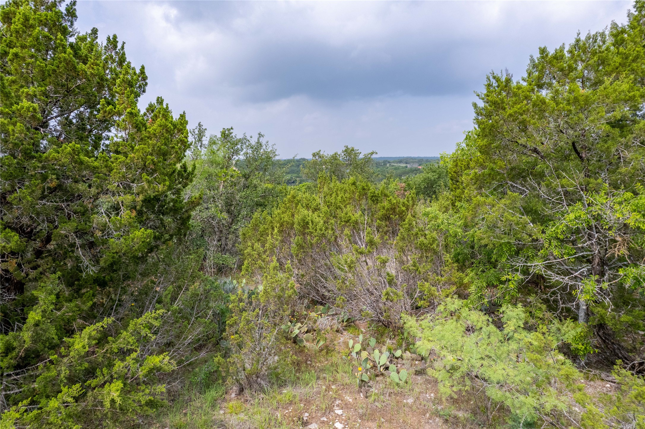 000 Anglers Point, Bluff Dale, TX, 76433