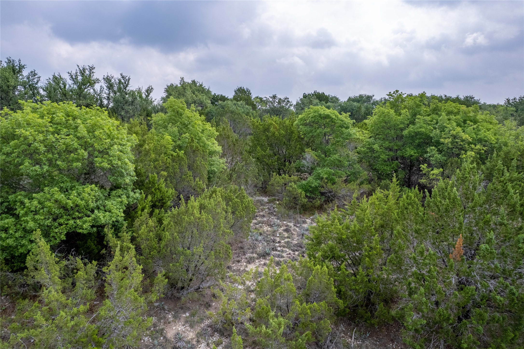 000 Anglers Point, Bluff Dale, TX, 76433