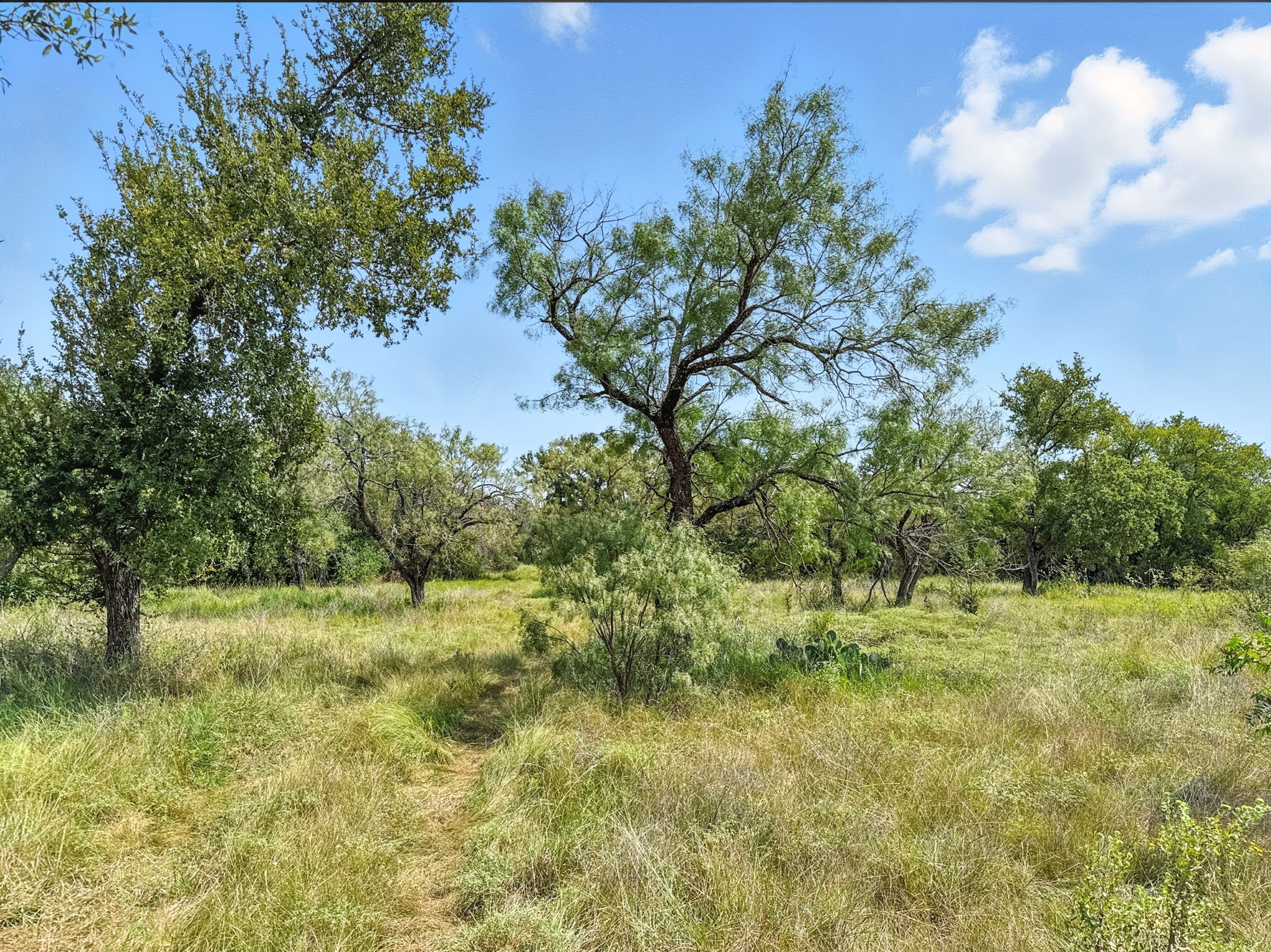 Property photo 01 of Lot 2 Ph 6 CR 421, Evant, TX 76525 | MLS #21048713
