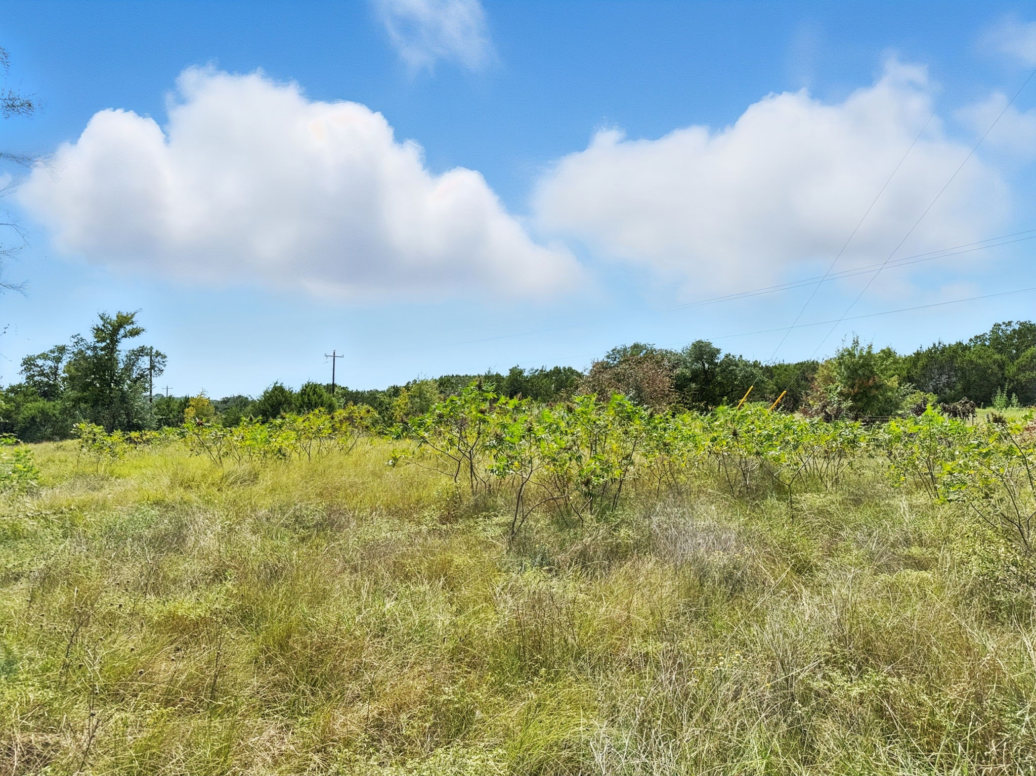 Property photo 02 of Lot 2 Ph 6 CR 421, Evant, TX 76525 | MLS #21048713
