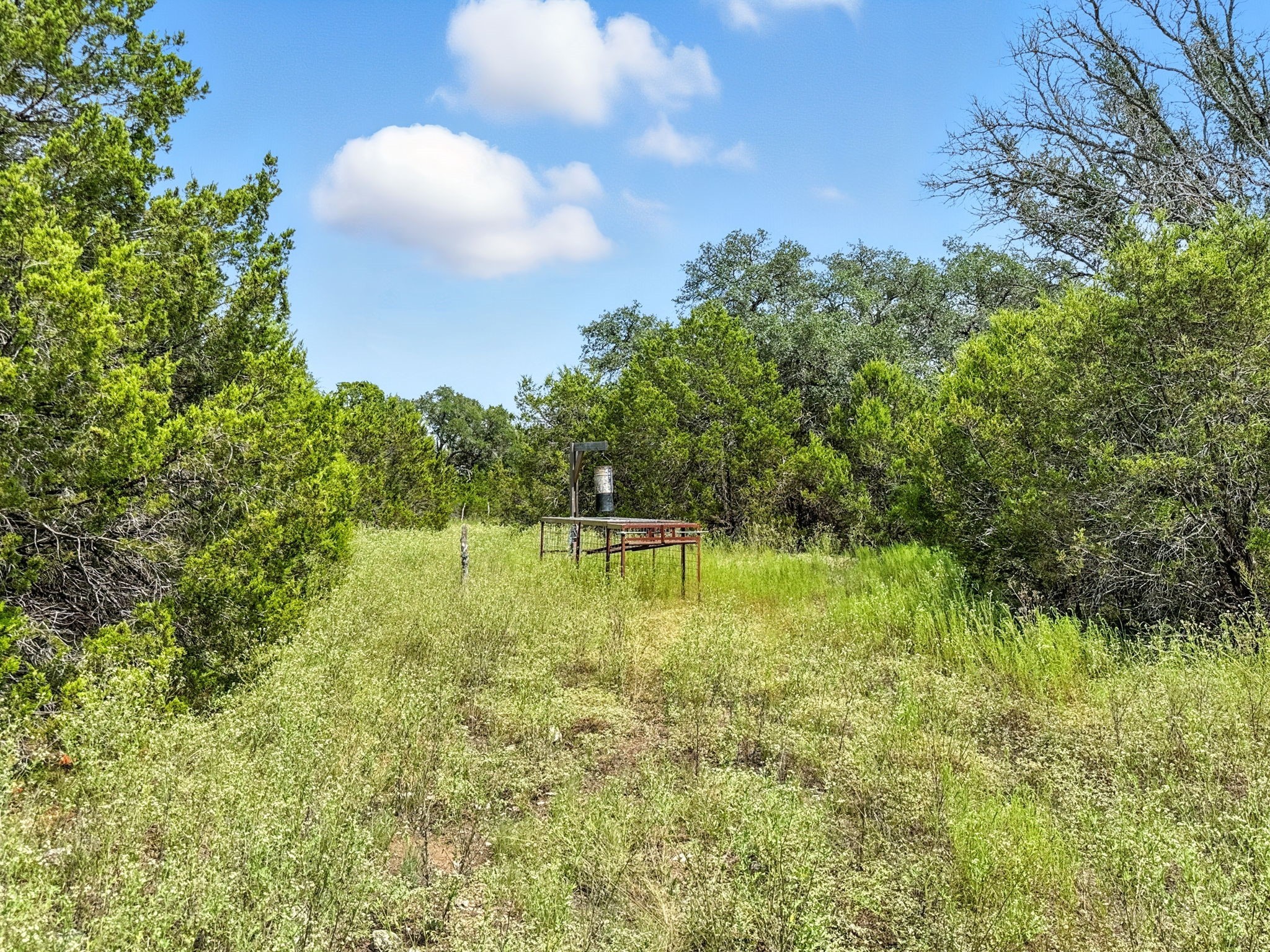 Lot 2 Ph 6 CR 421, Evant, TX, 76525