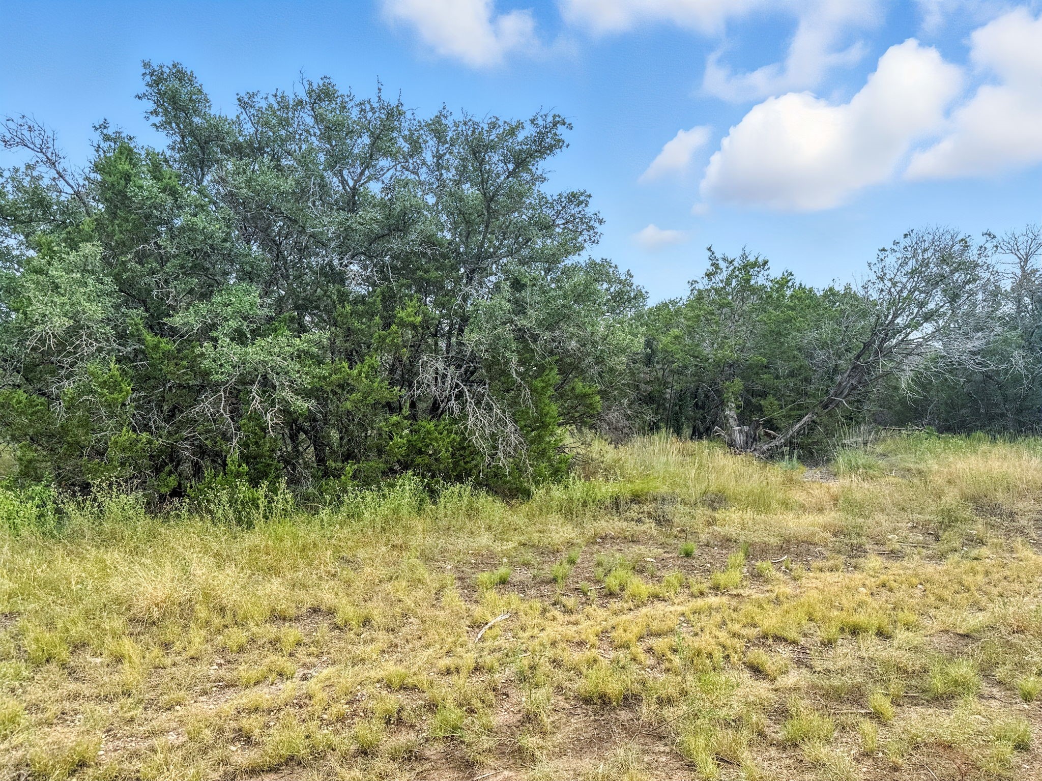 Lot 2 Ph 6 CR 421, Evant, TX, 76525