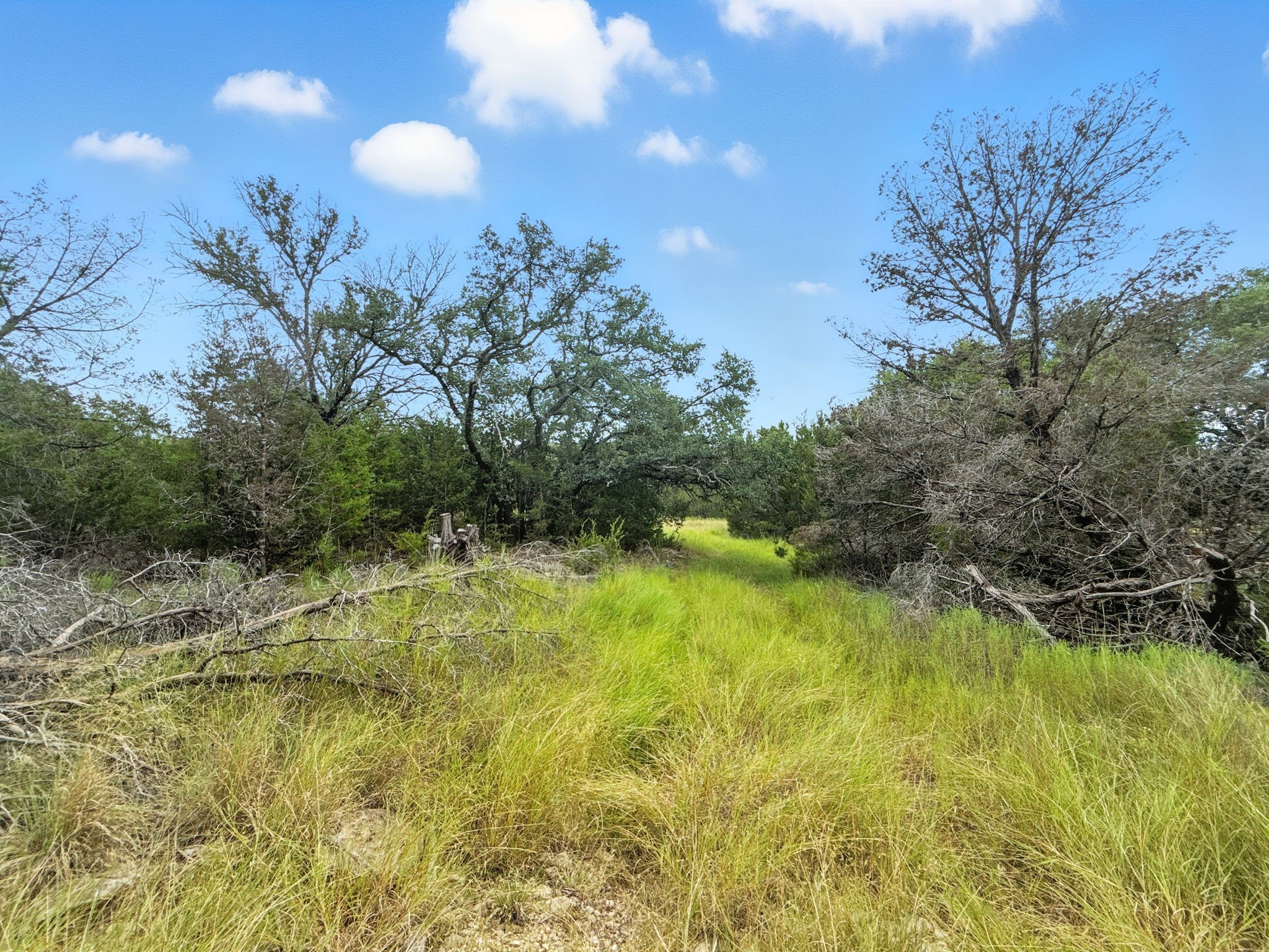 Lot 2 Ph 6 CR 421, Evant, TX, 76525