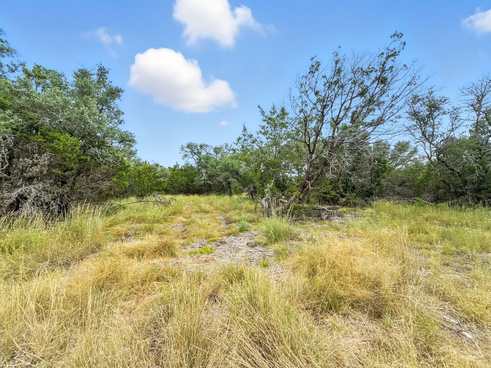 Lot 2 Ph 6 CR 421, Evant, TX, 76525