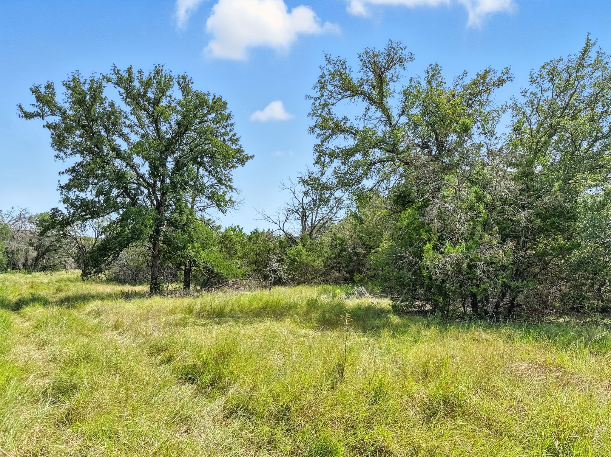 Lot 2 Ph 6 CR 421, Evant, TX, 76525