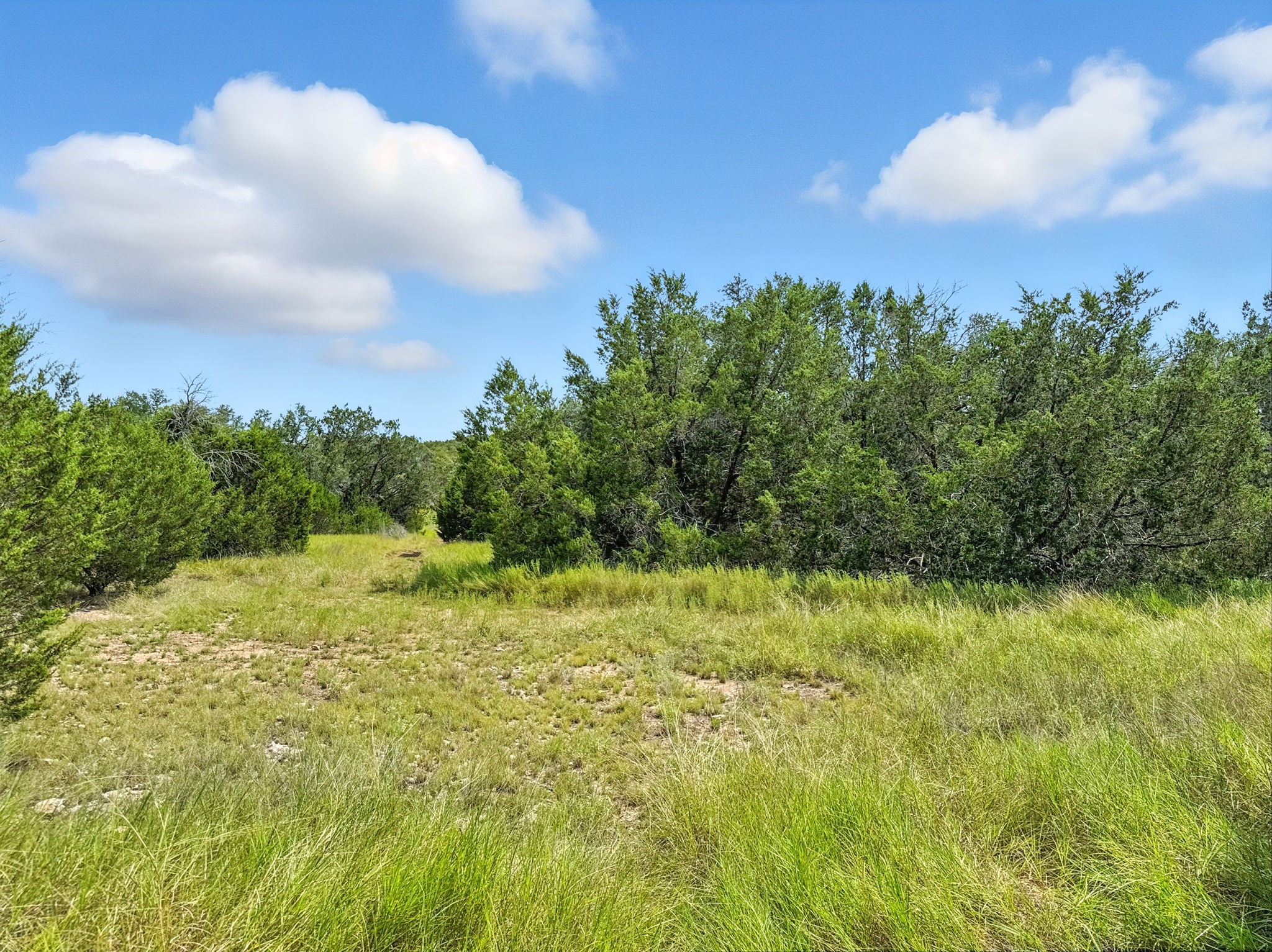 Lot 2 Ph 6 CR 421, Evant, TX, 76525
