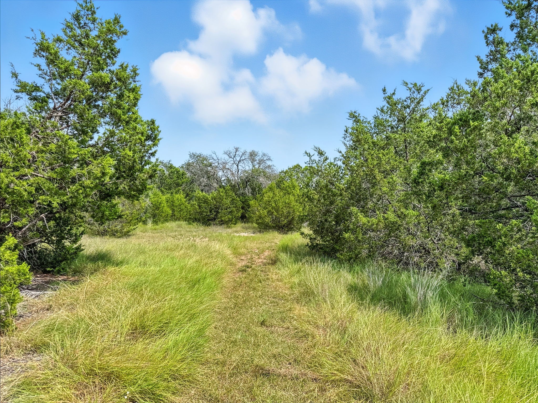 Lot 2 Ph 6 CR 421, Evant, TX, 76525