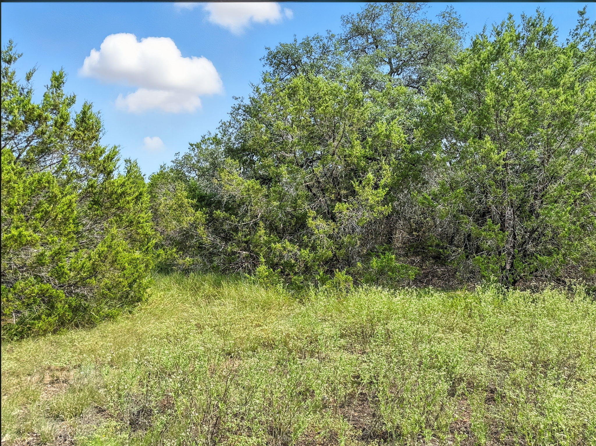 Lot 2 Ph 6 CR 421, Evant, TX, 76525