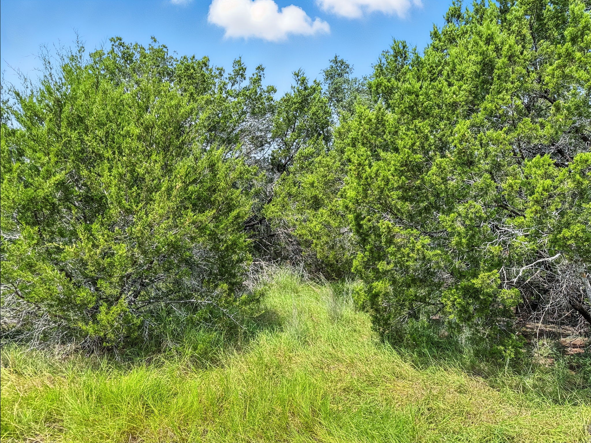 Lot 2 Ph 6 CR 421, Evant, TX, 76525