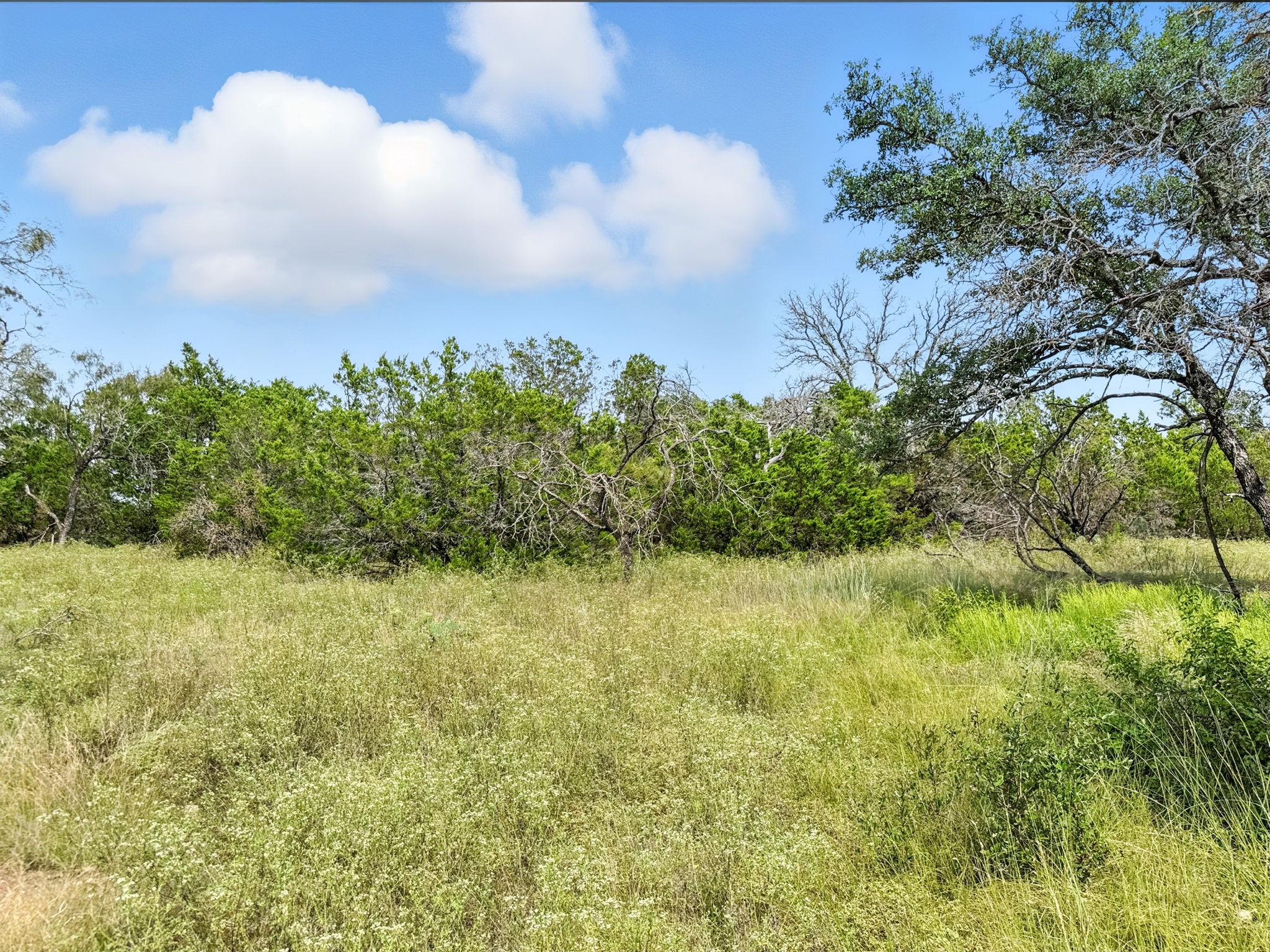 Lot 2 Ph 6 CR 421, Evant, TX, 76525