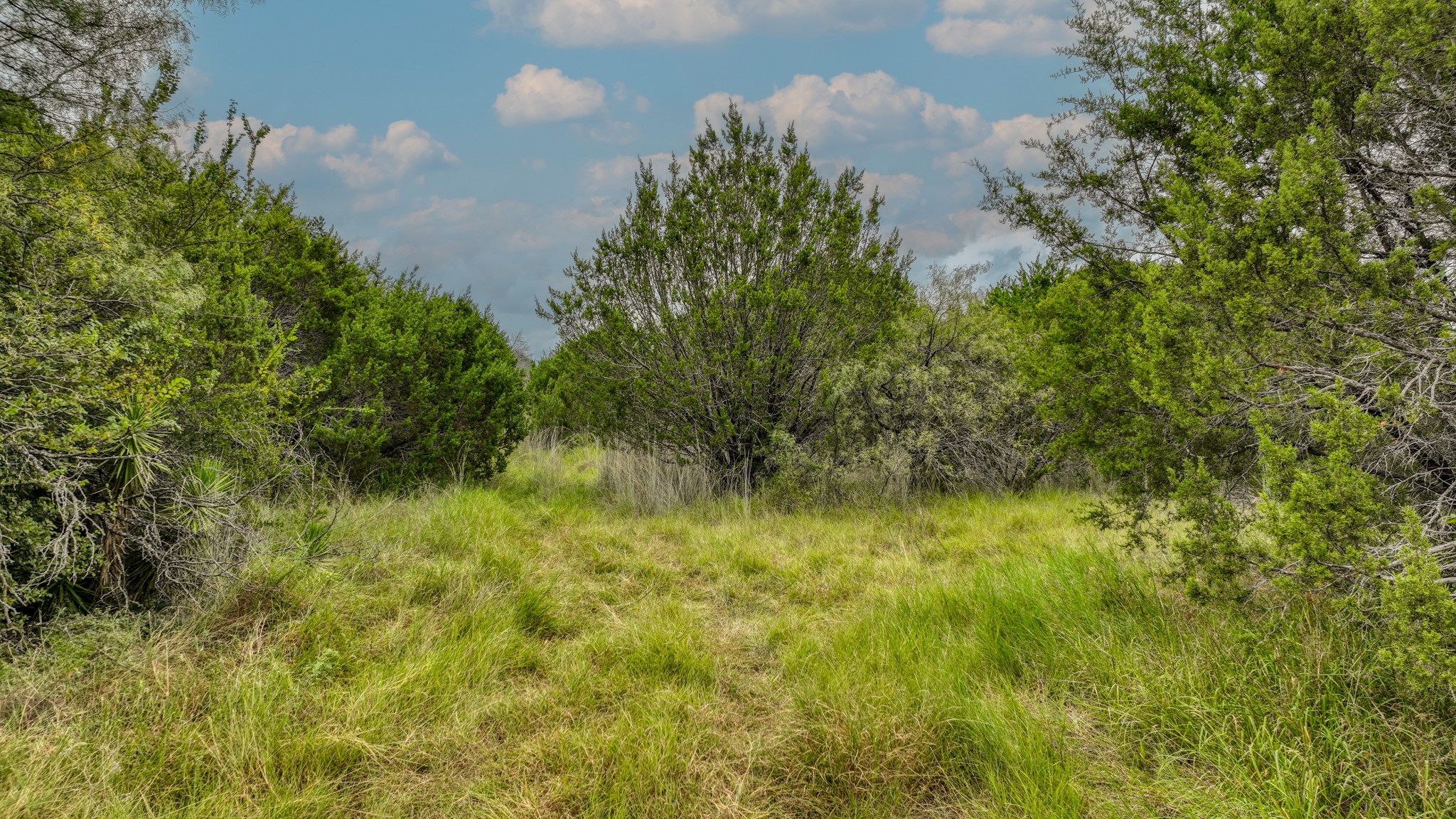 9133 Mcarthur Court, Tolar, TX, 76476