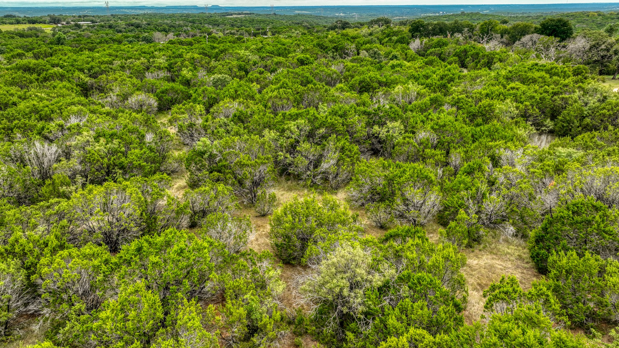 9133 Mcarthur Court, Tolar, TX, 76476