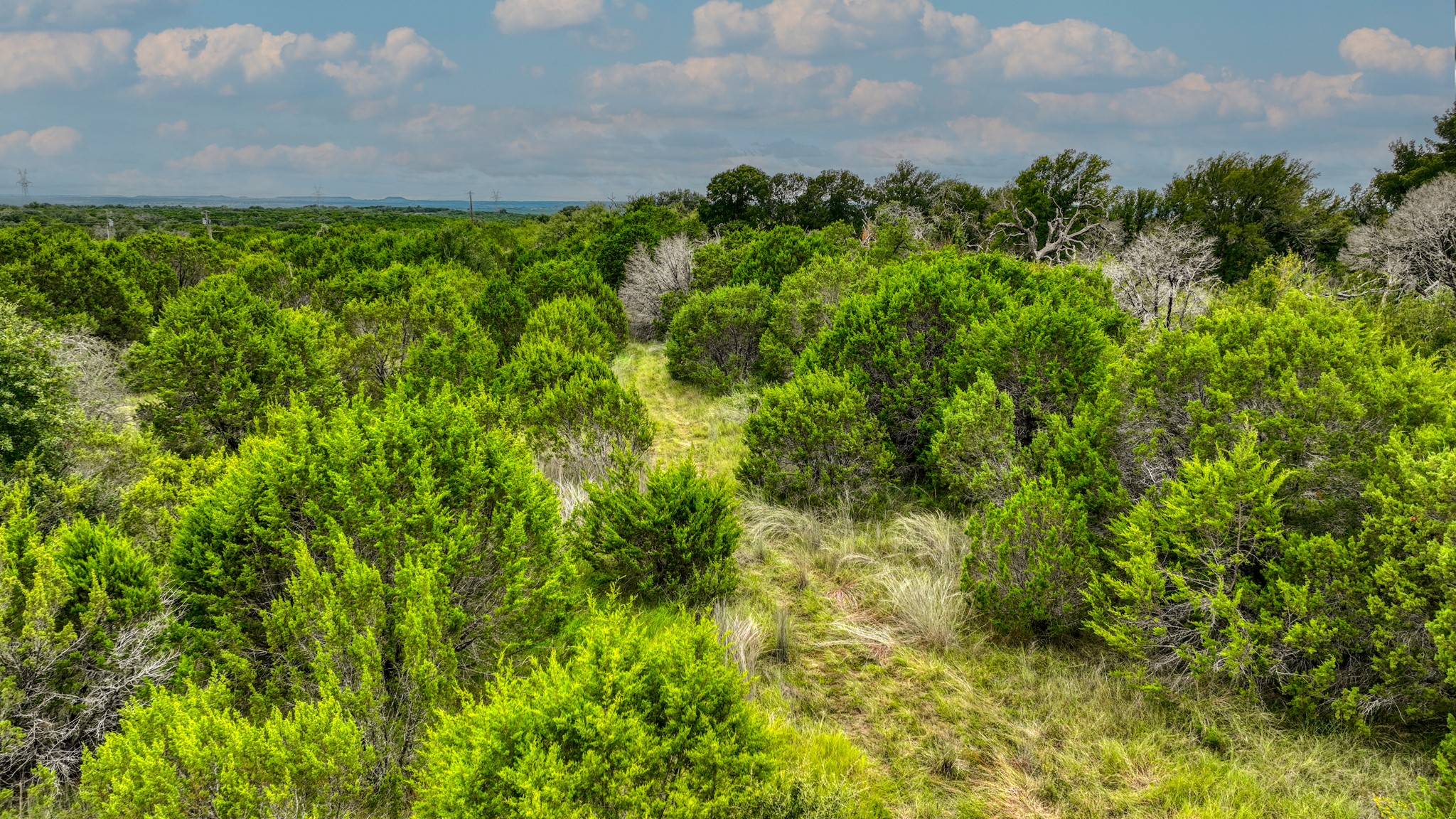 9133 Mcarthur Court, Tolar, TX, 76476