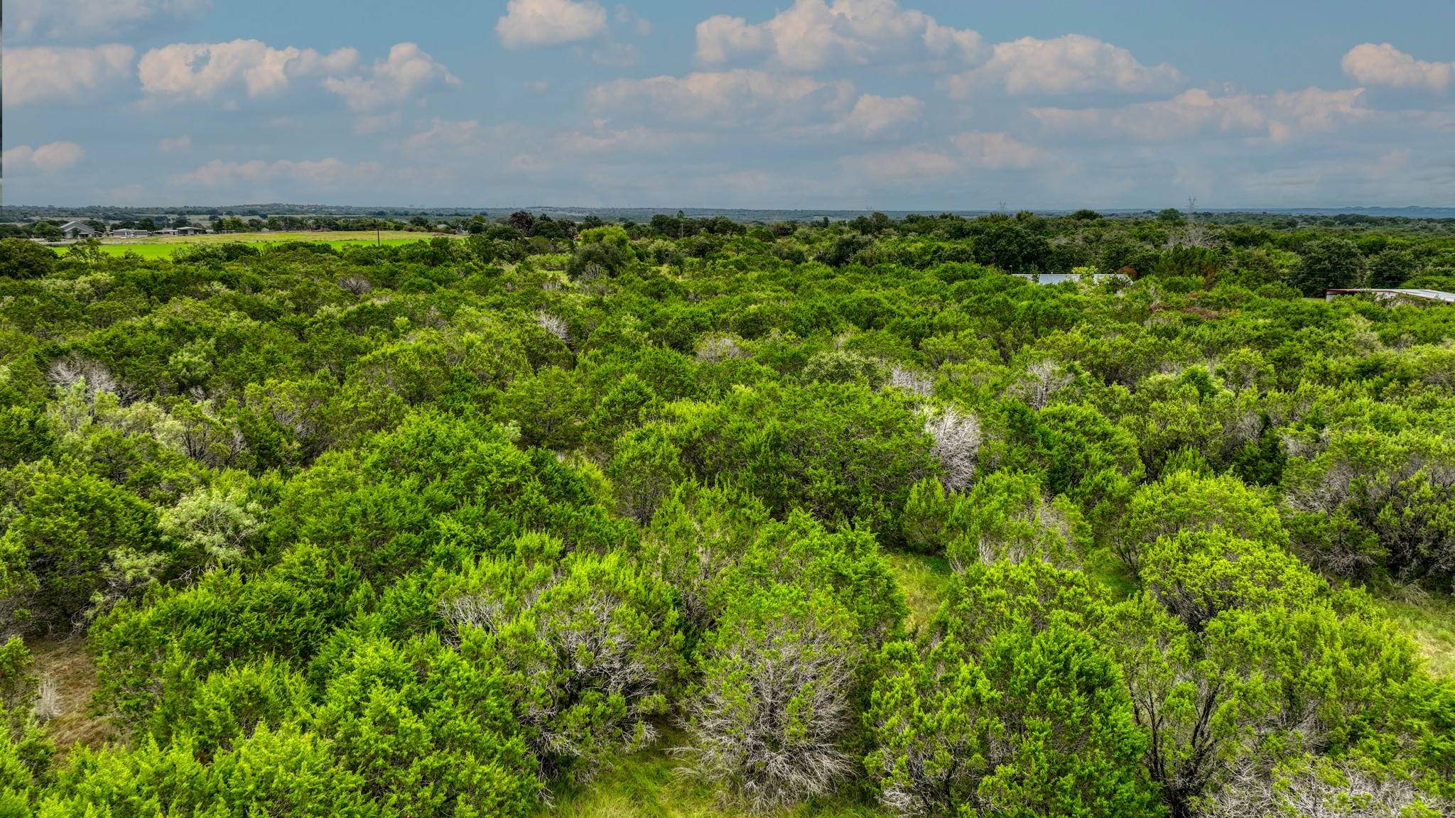 9133 Mcarthur Court, Tolar, TX, 76476