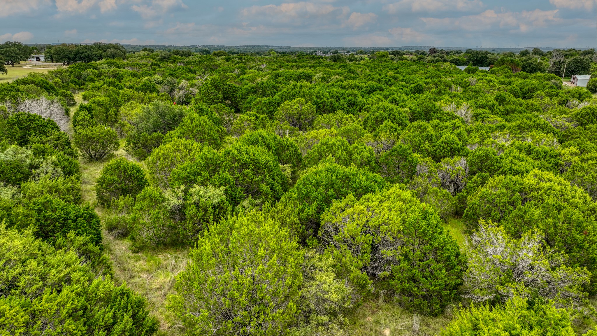 9133 Mcarthur Court, Tolar, TX, 76476