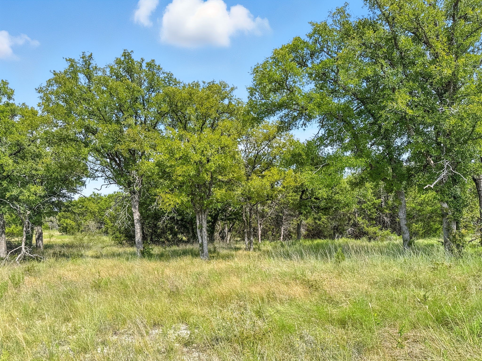 Property photo 01 of Lot 39 Ph 6 Private Road 42103, Evant, TX 76525 | MLS #21052062