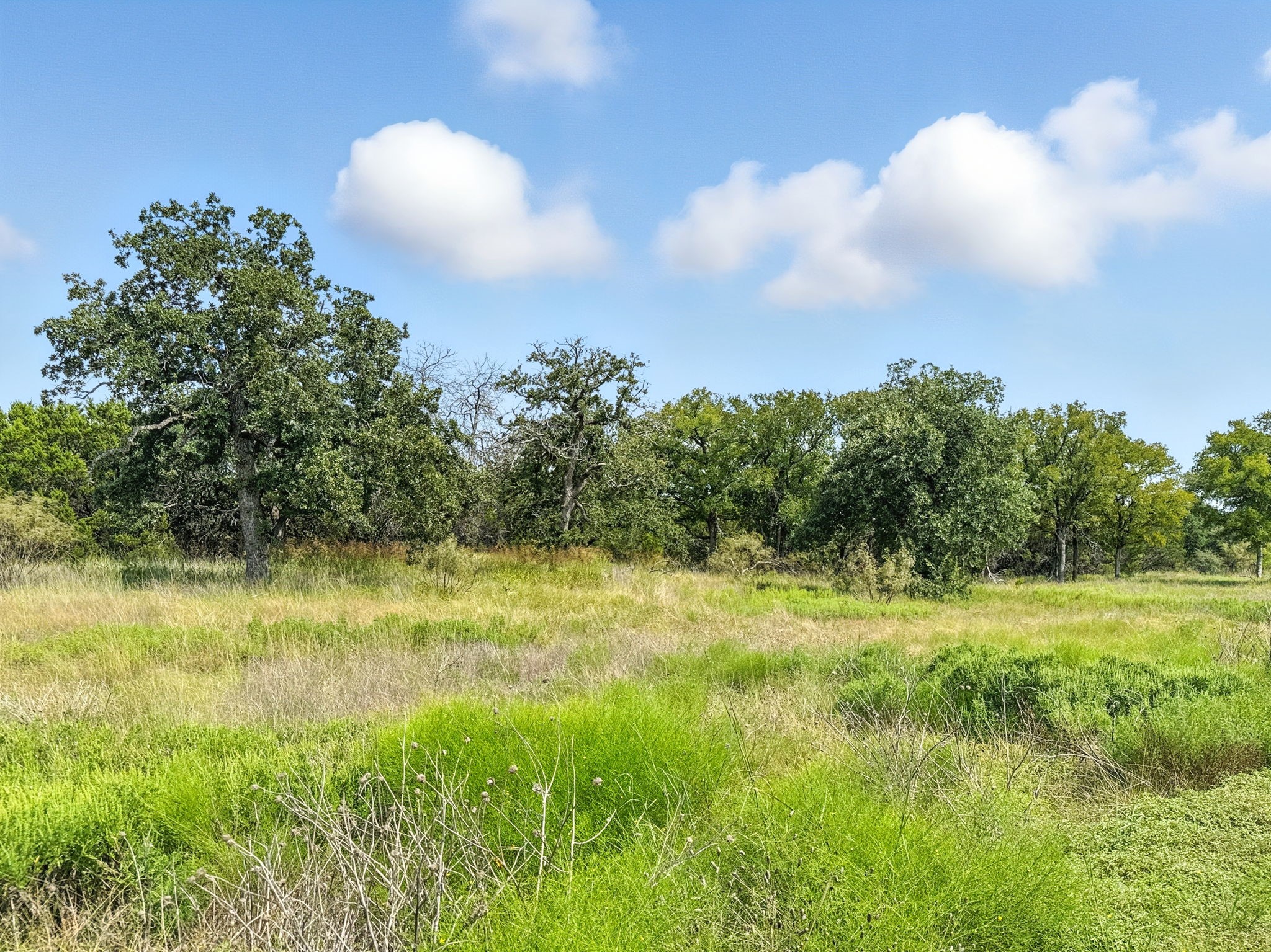 Property photo 02 of Lot 39 Ph 6 Private Road 42103, Evant, TX 76525 | MLS #21052062