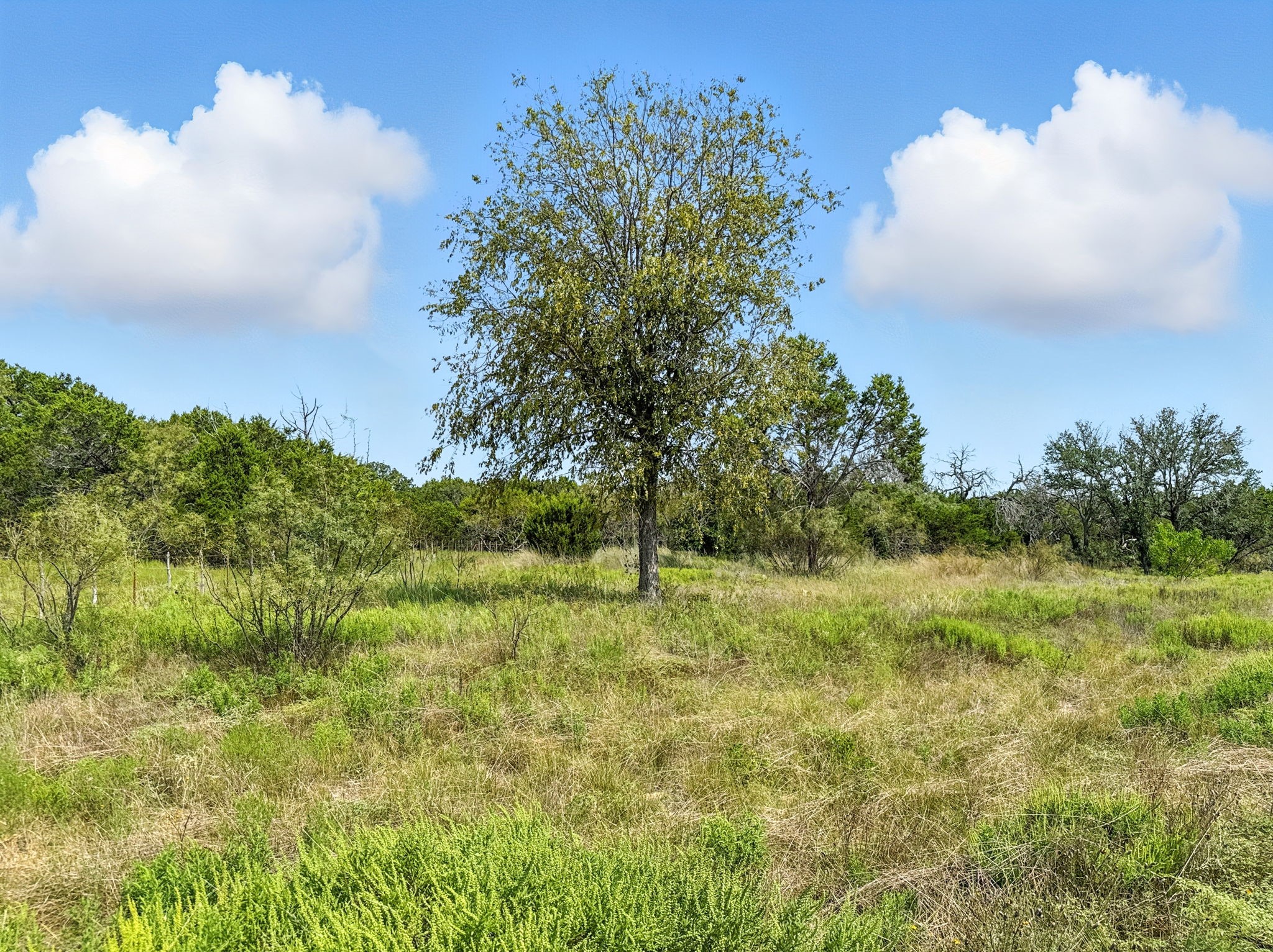 Property photo 03 of Lot 39 Ph 6 Private Road 42103, Evant, TX 76525 | MLS #21052062