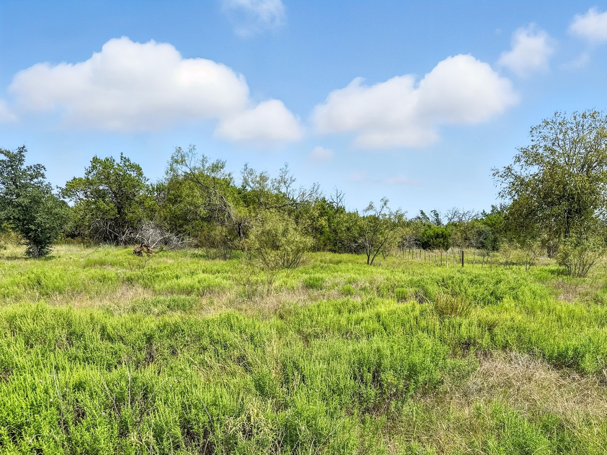 Property photo 04 of Lot 39 Ph 6 Private Road 42103, Evant, TX 76525 | MLS #21052062
