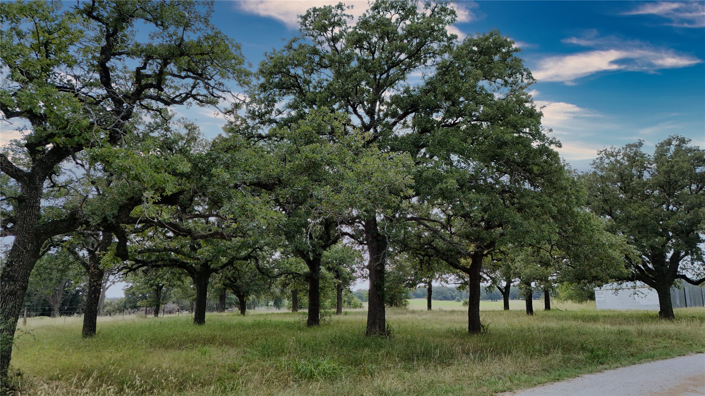 Property photo 01 of 3879 Zion Hill Road, Weatherford, TX 76088 | MLS #21054371