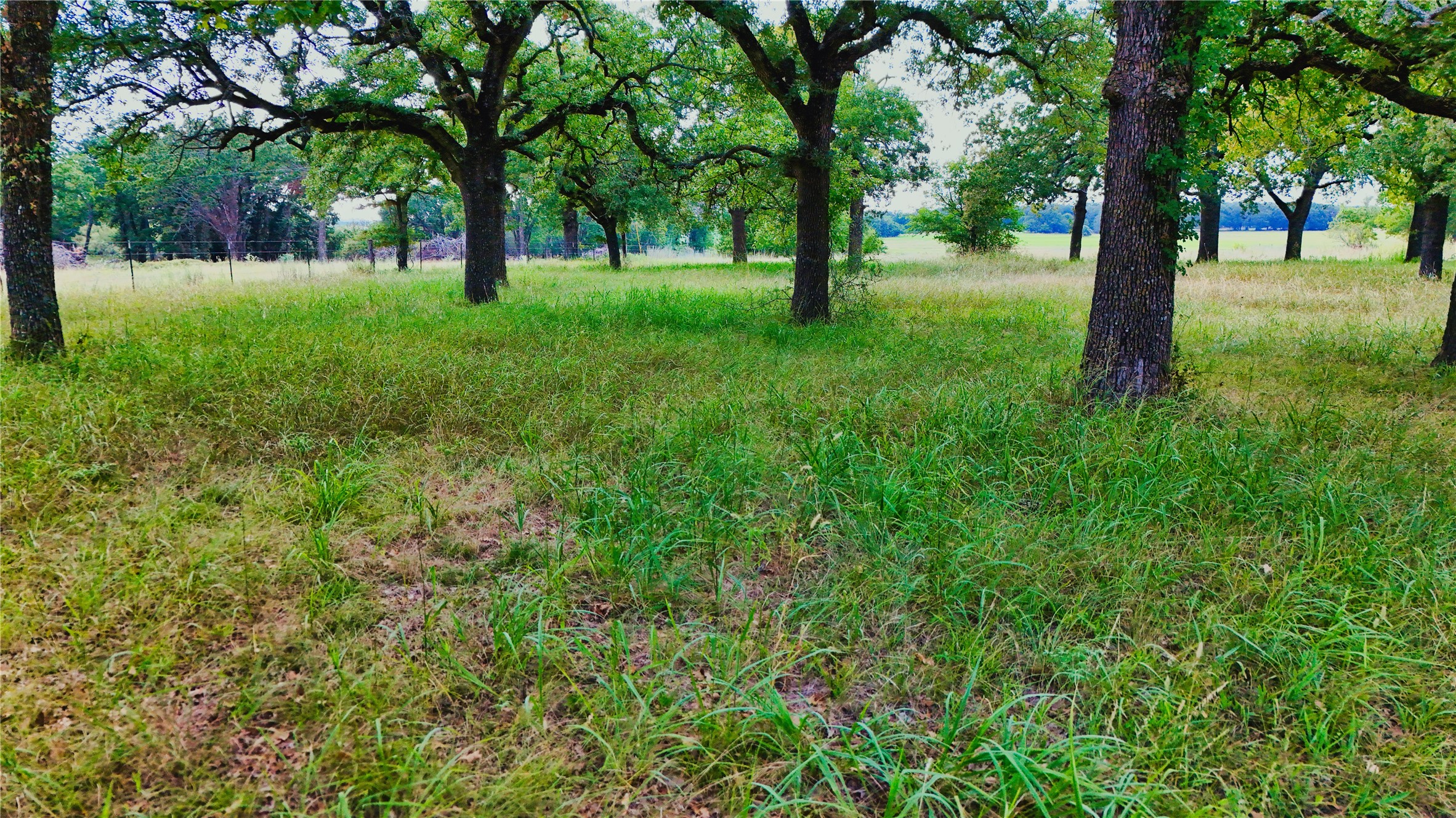 3879 Zion Hill Road, Weatherford, TX, 76088