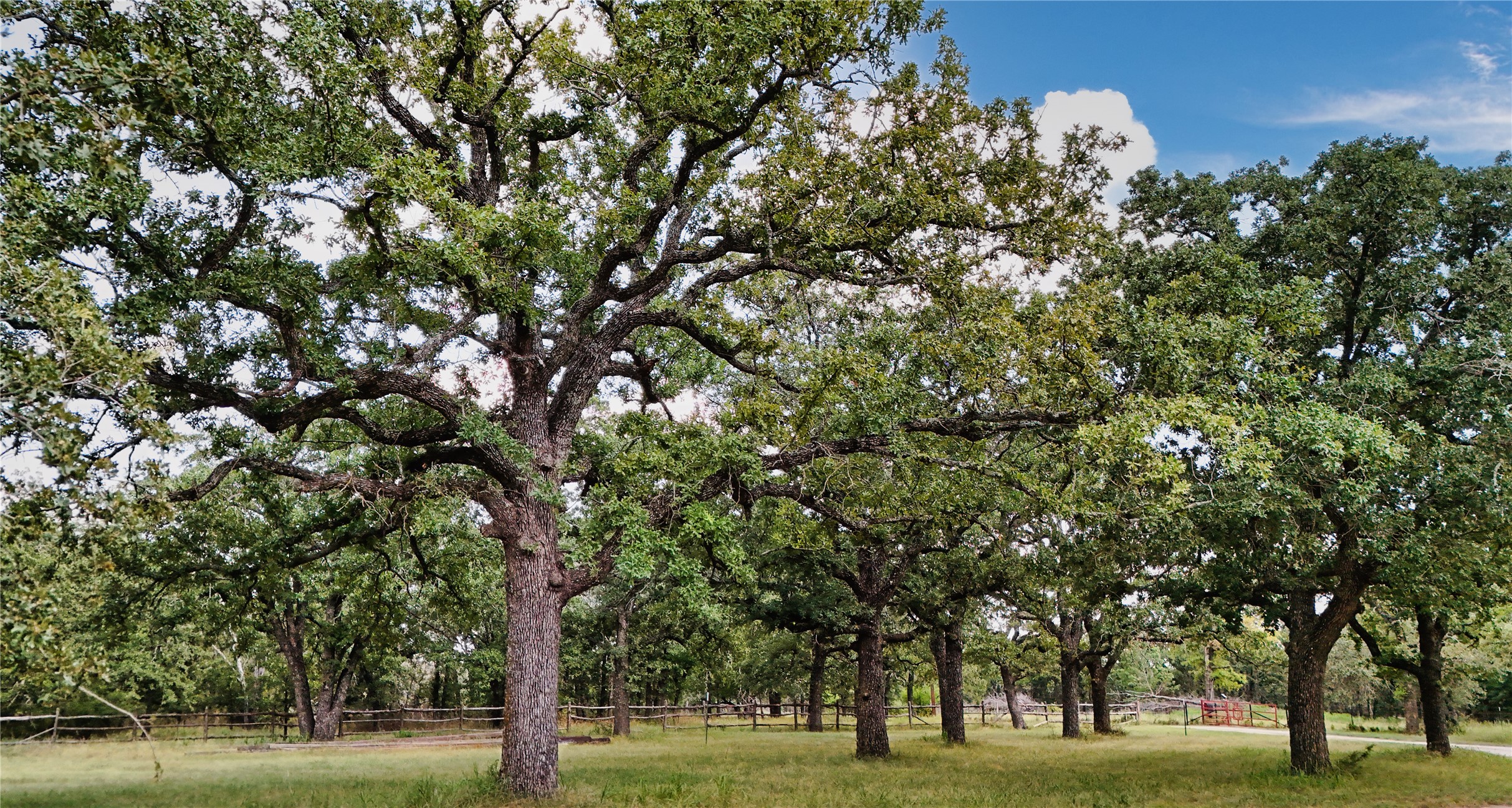 3879 Zion Hill Road, Weatherford, TX, 76088