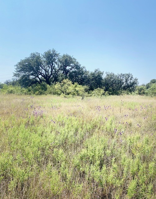 6955 Ennis Drive, Brownwood, TX, 76801
