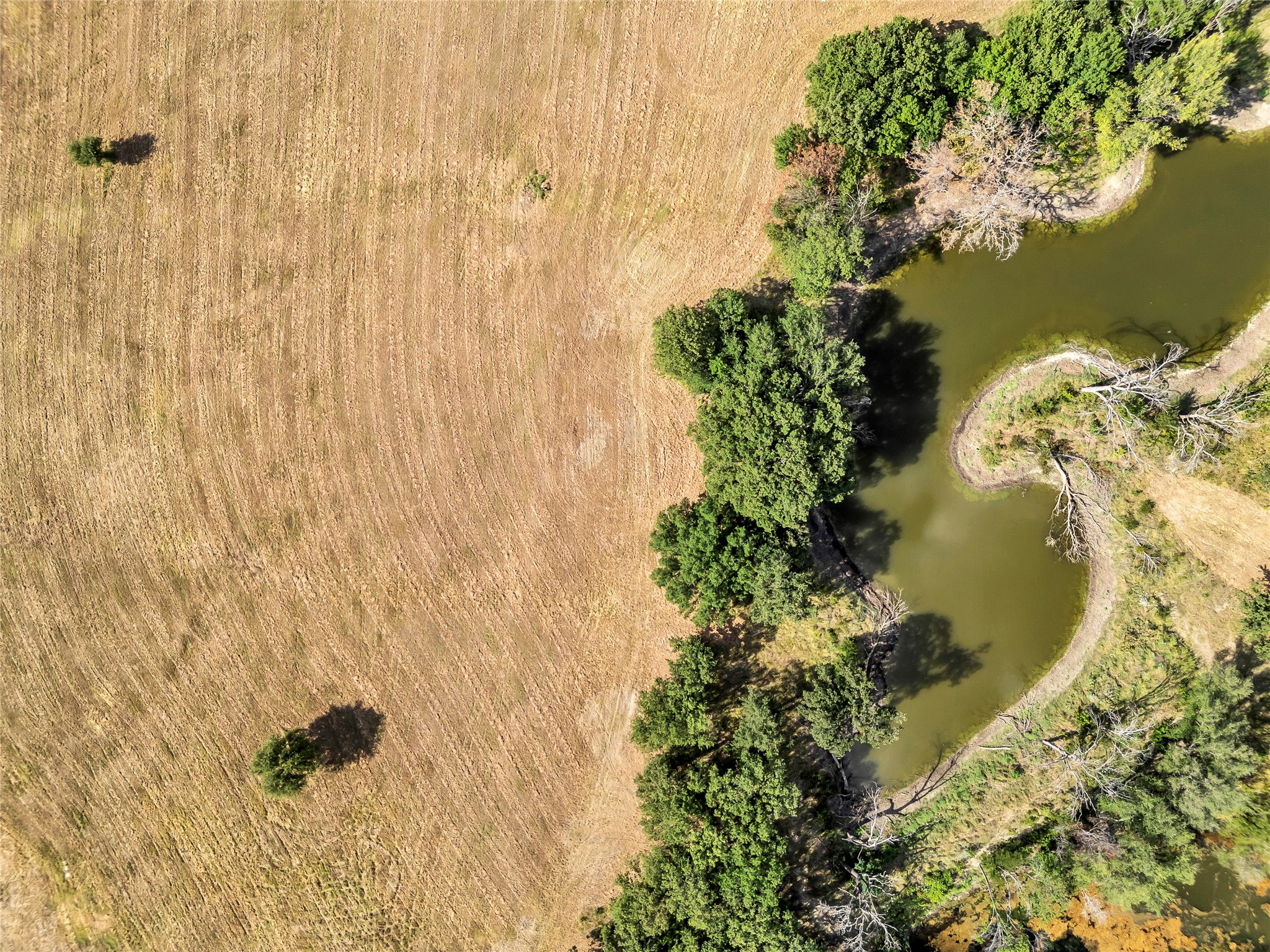5025 Stover Way, Granbury, TX, 76049