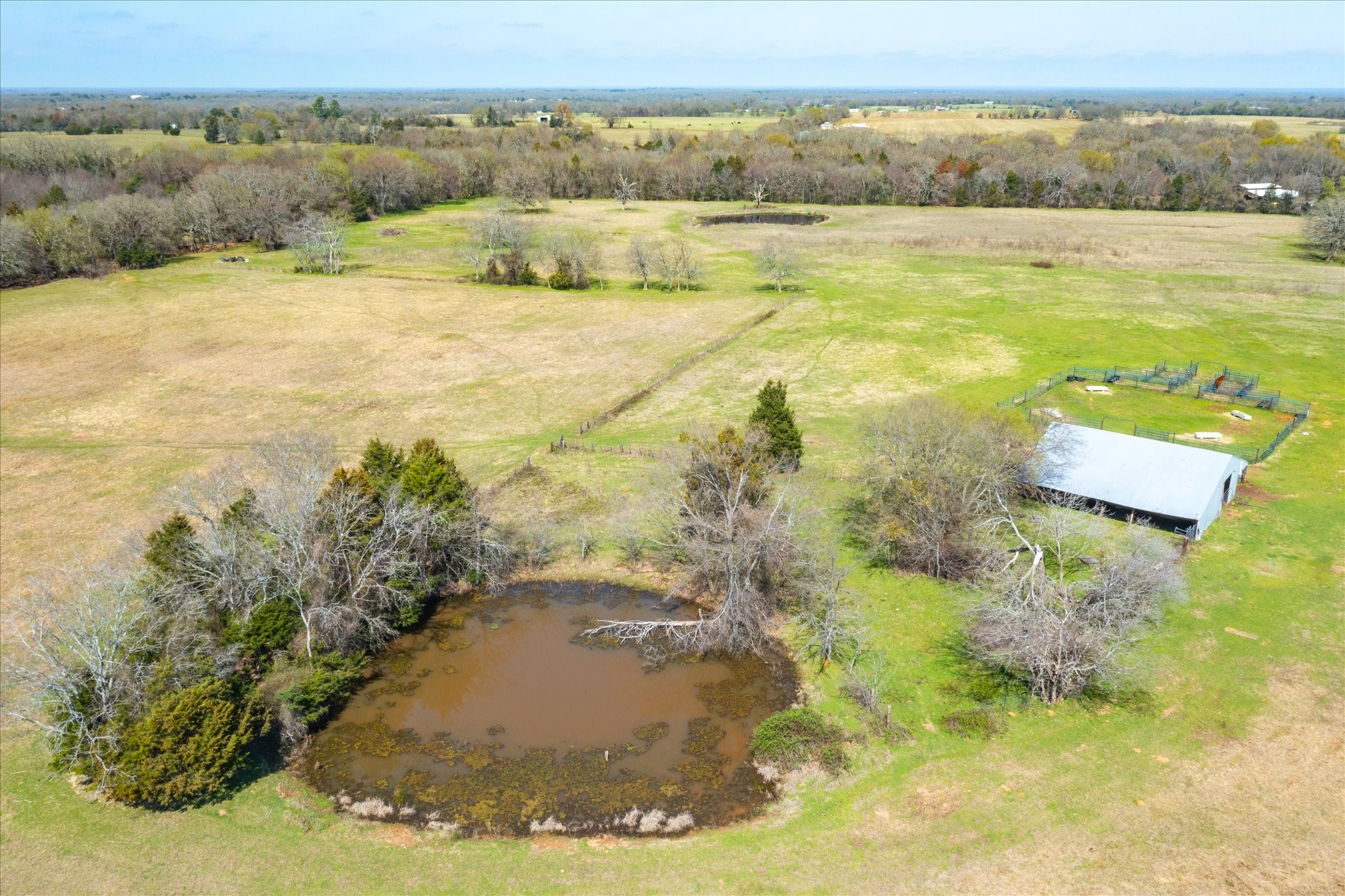 TBD VZ County Road 1818, Grand Saline, TX, 75140