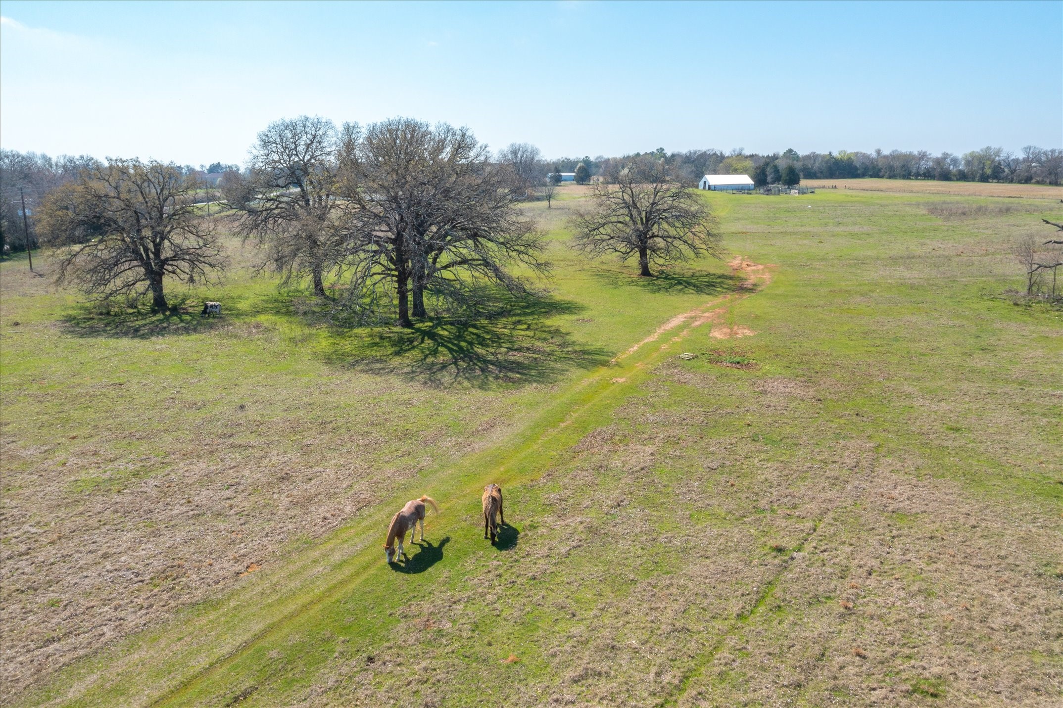 Property photo 03 of TBD VZ County Road 1818, Grand Saline, TX 75140 | MLS #21057855