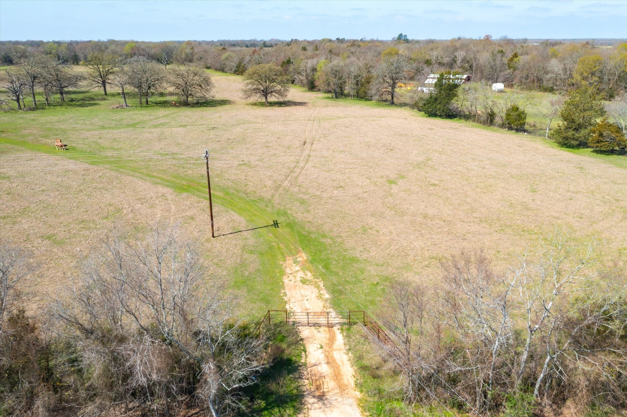 Property photo 04 of TBD VZ County Road 1818, Grand Saline, TX 75140 | MLS #21057855