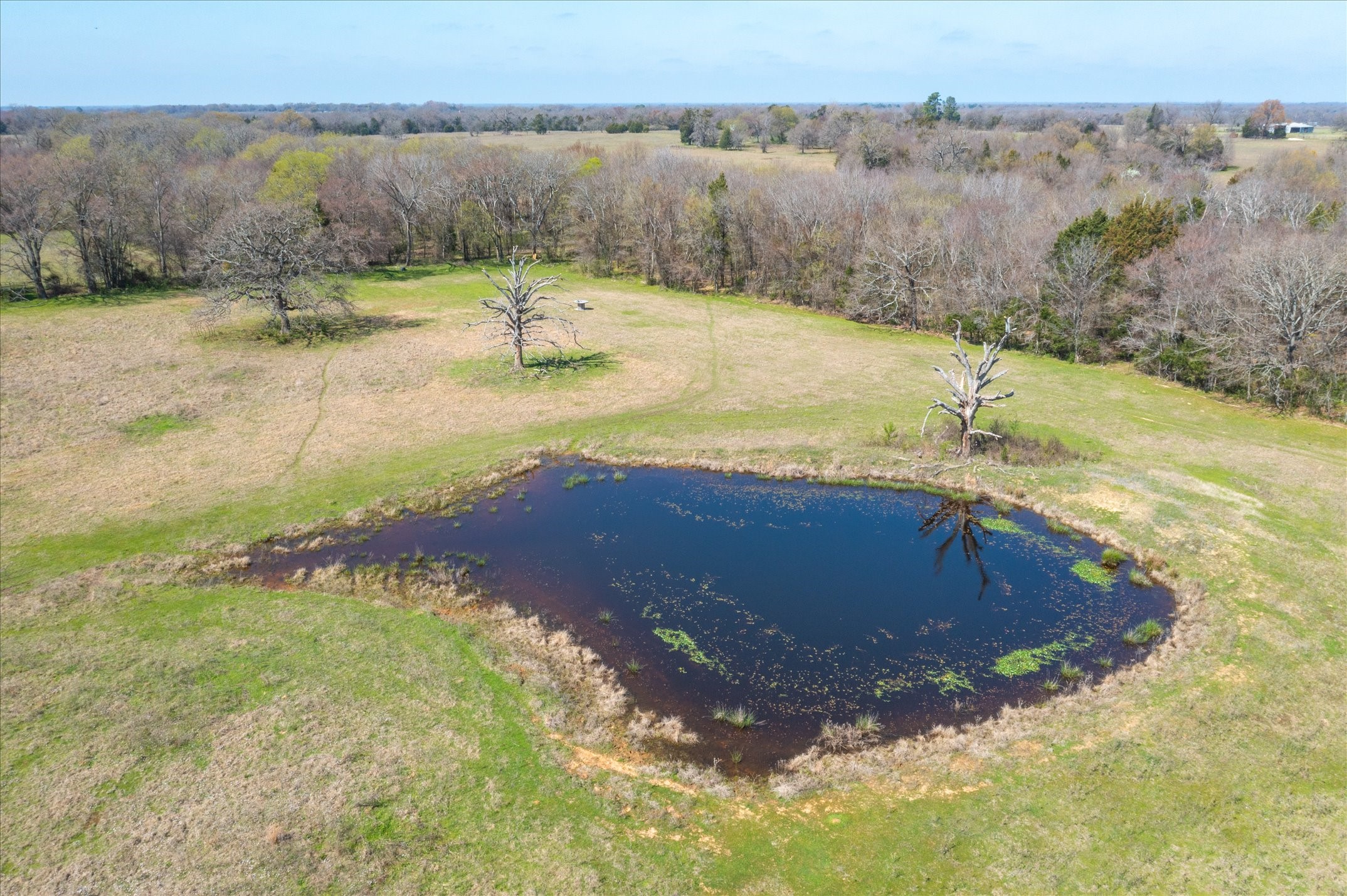 TBD VZ County Road 1818, Grand Saline, TX, 75140