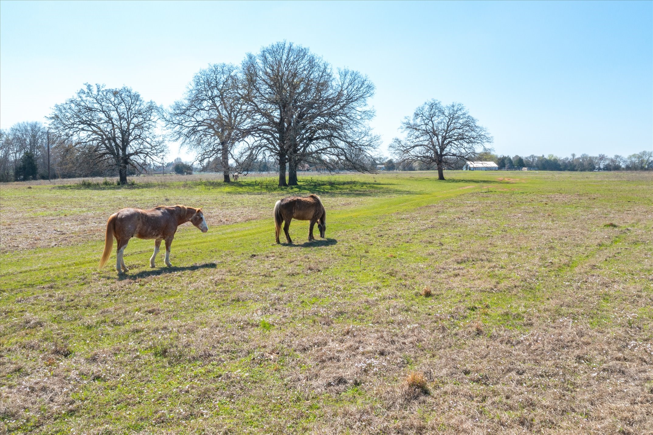 TBD VZ County Road 1818, Grand Saline, TX, 75140