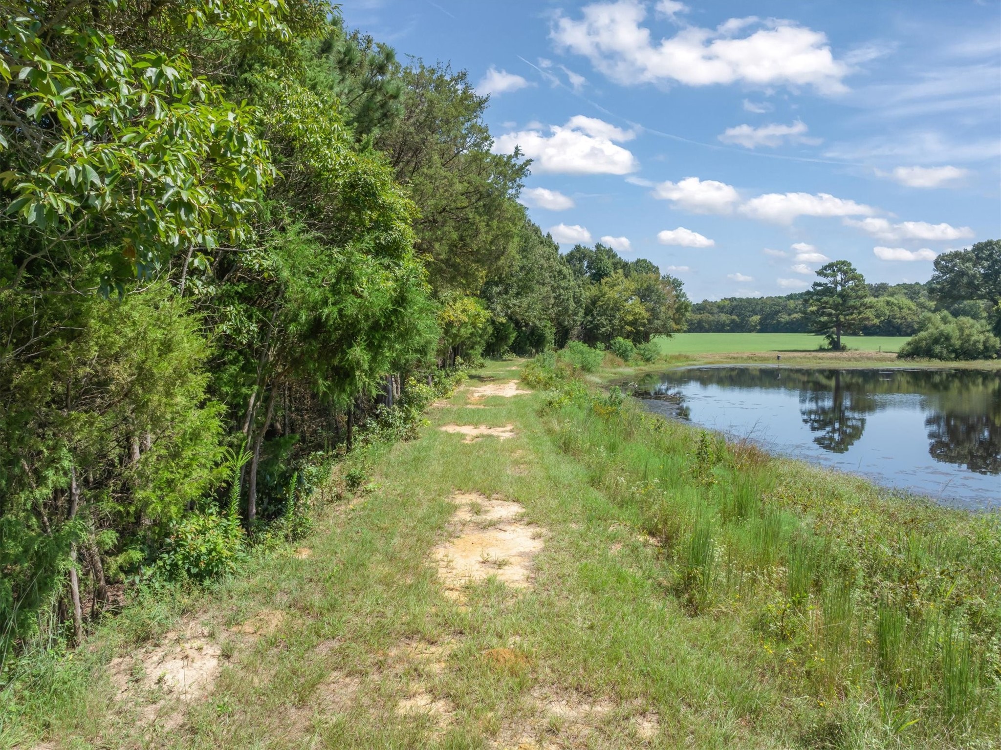 893 Vz County Road 4203, Canton, TX, 75103