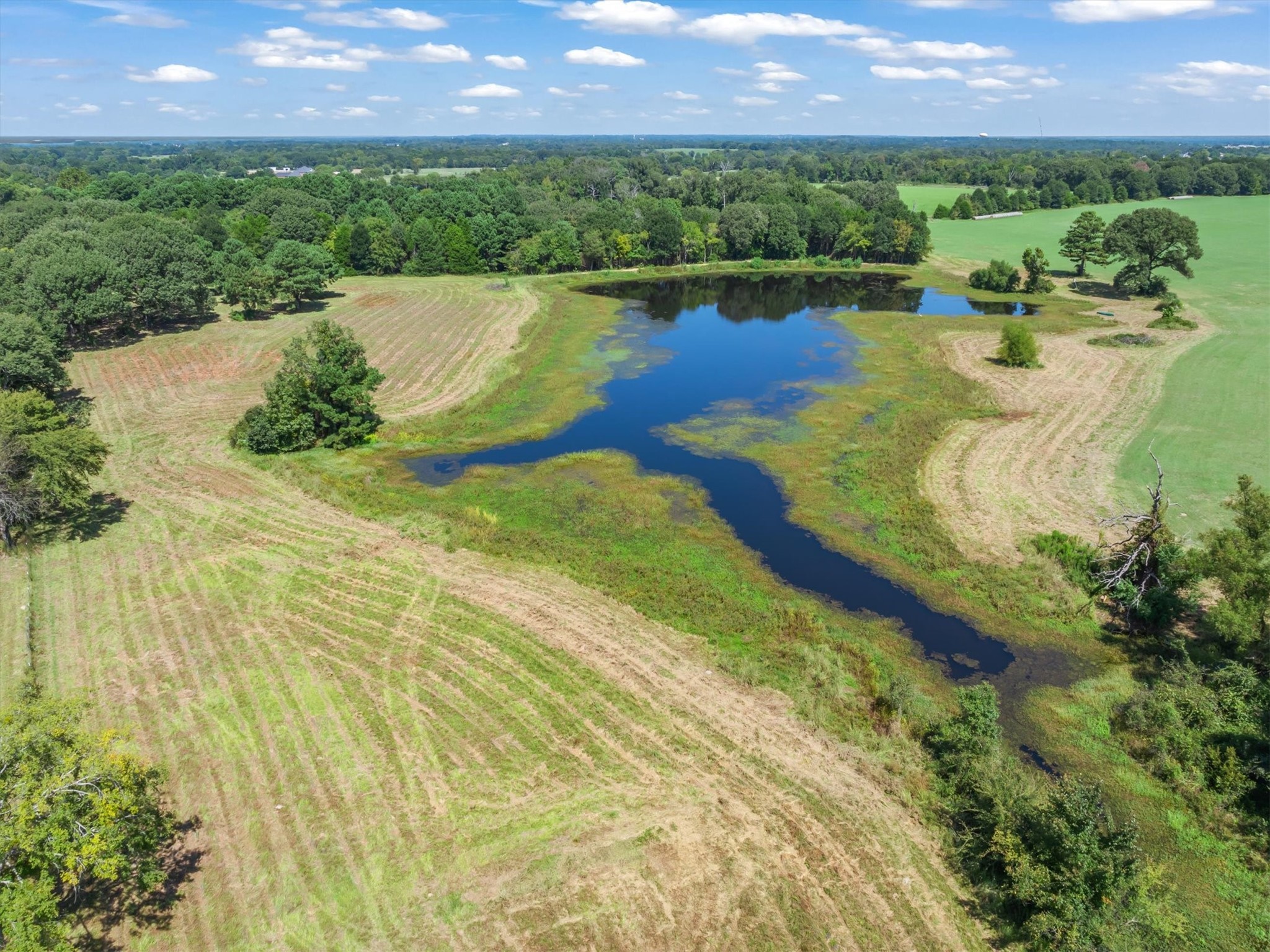 893 Vz County Road 4203, Canton, TX, 75103