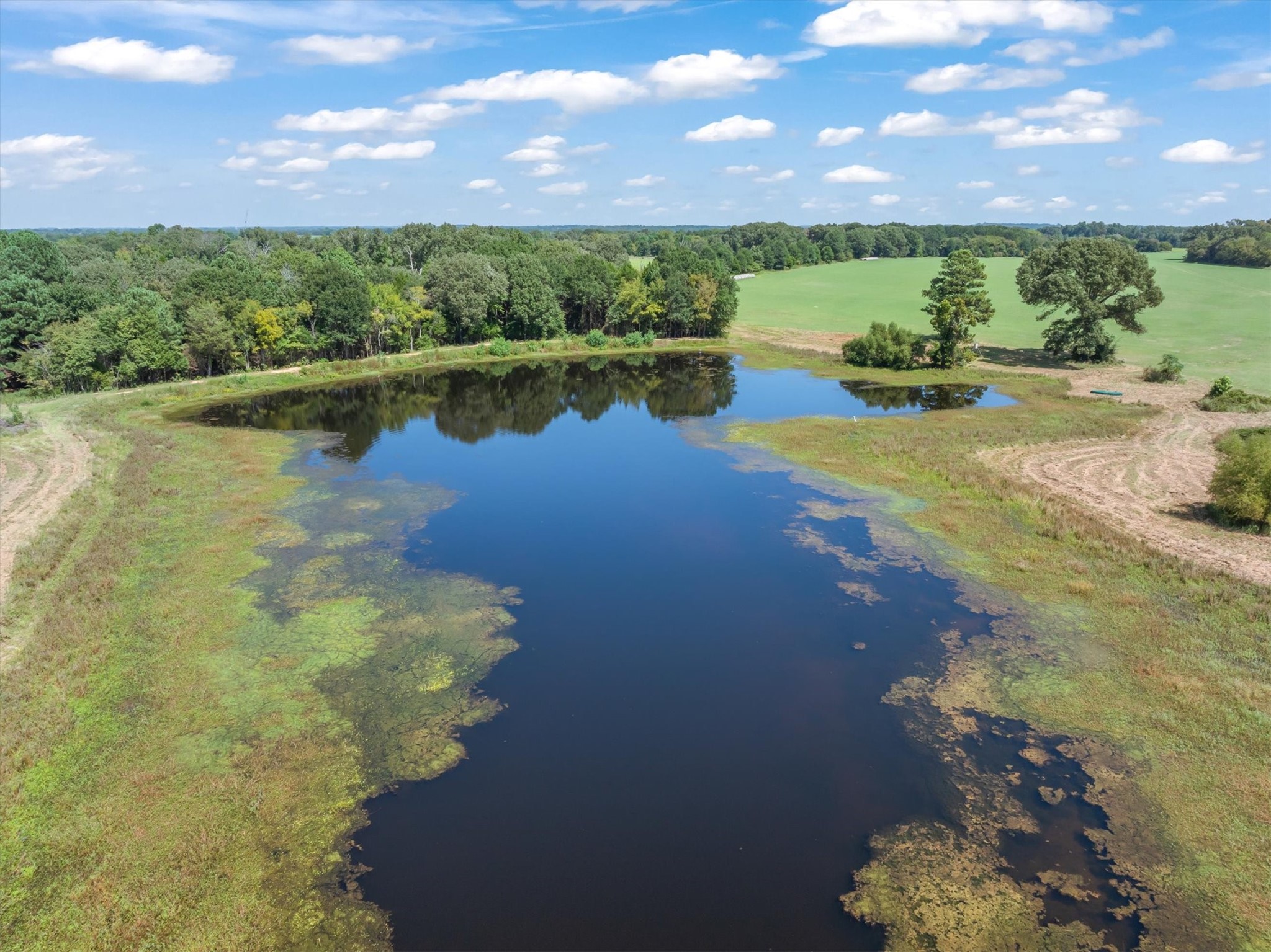 893 Vz County Road 4203, Canton, TX, 75103