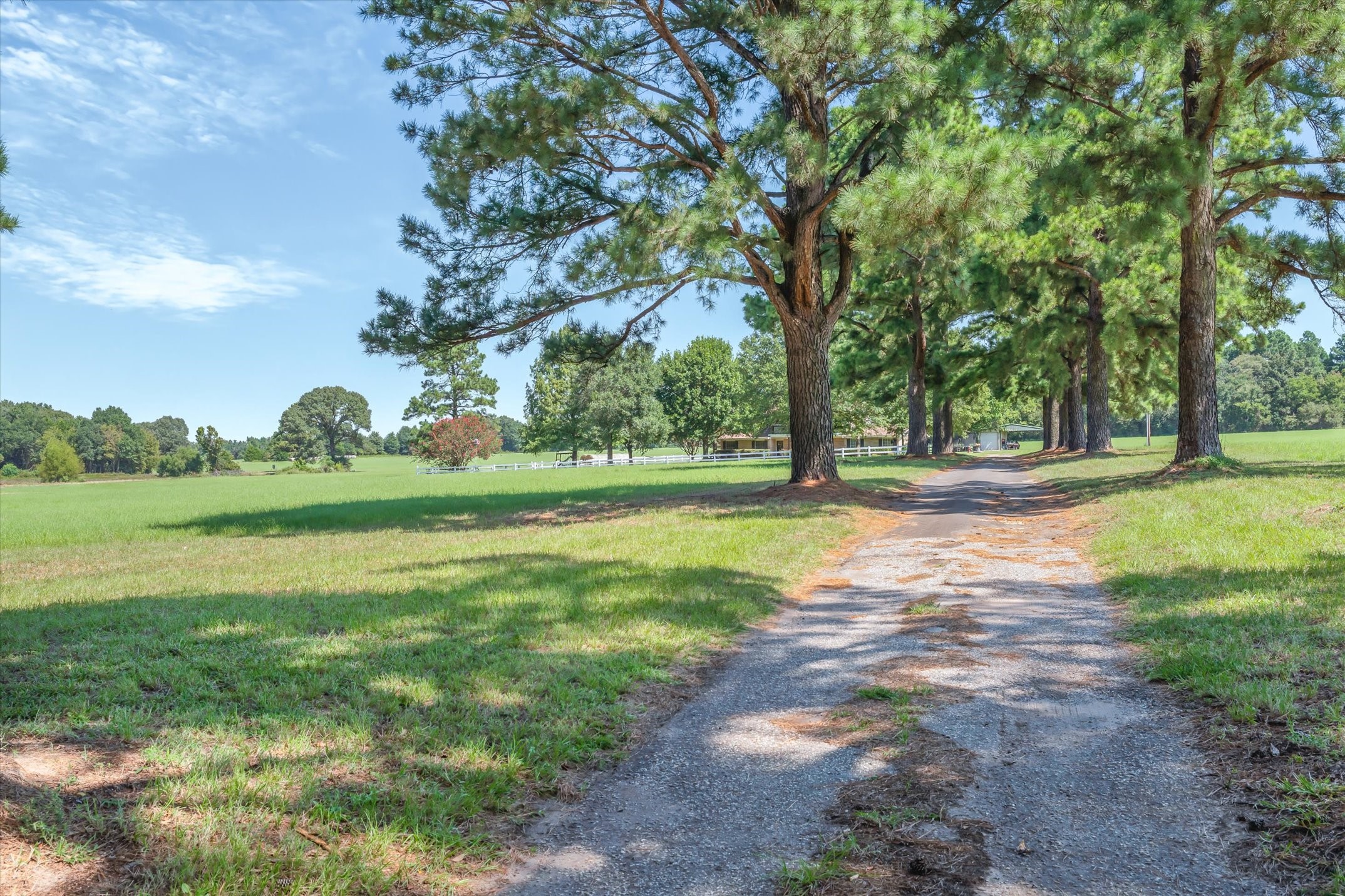 893 Vz County Road 4203, Canton, TX, 75103