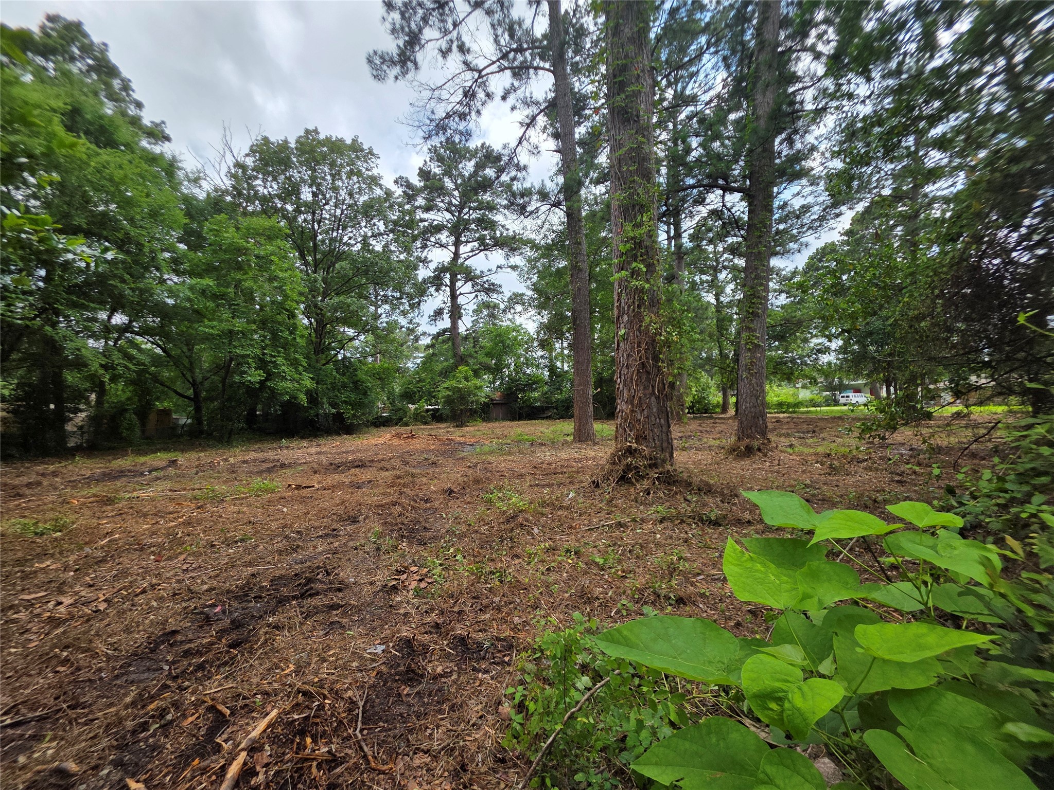 Property photo 01 of 20812 Clinton, Chandler, TX 75758 | MLS #21058311