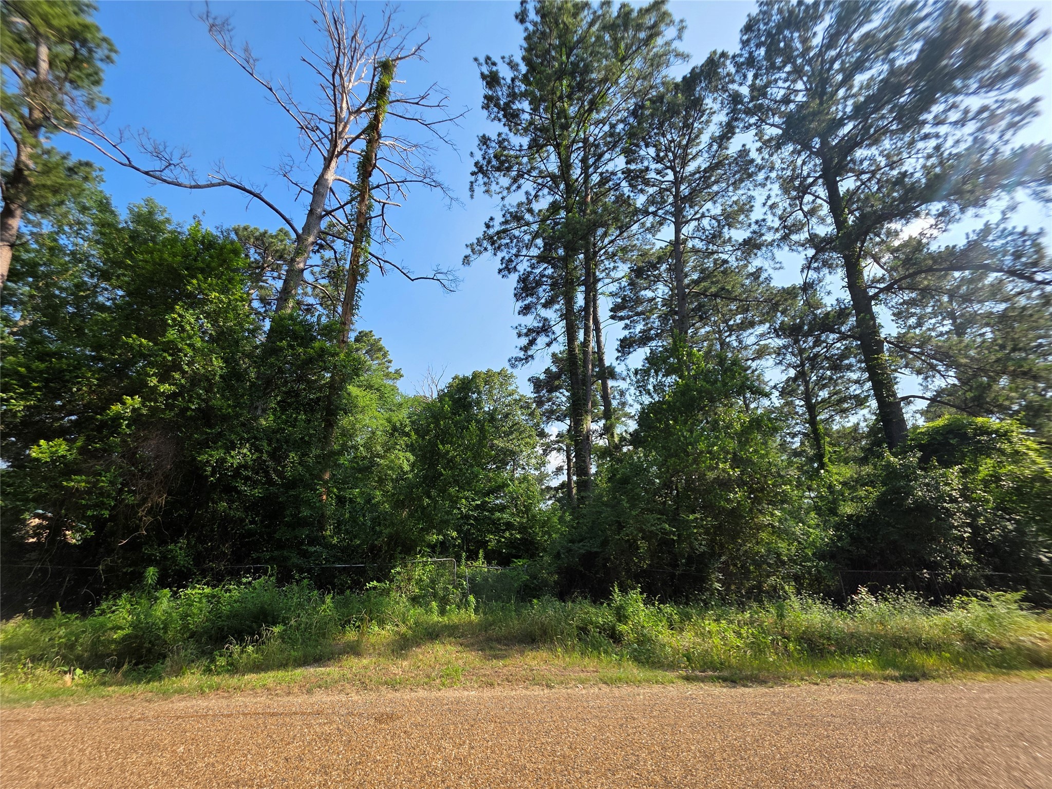 20812 Clinton, Chandler, TX, 75758