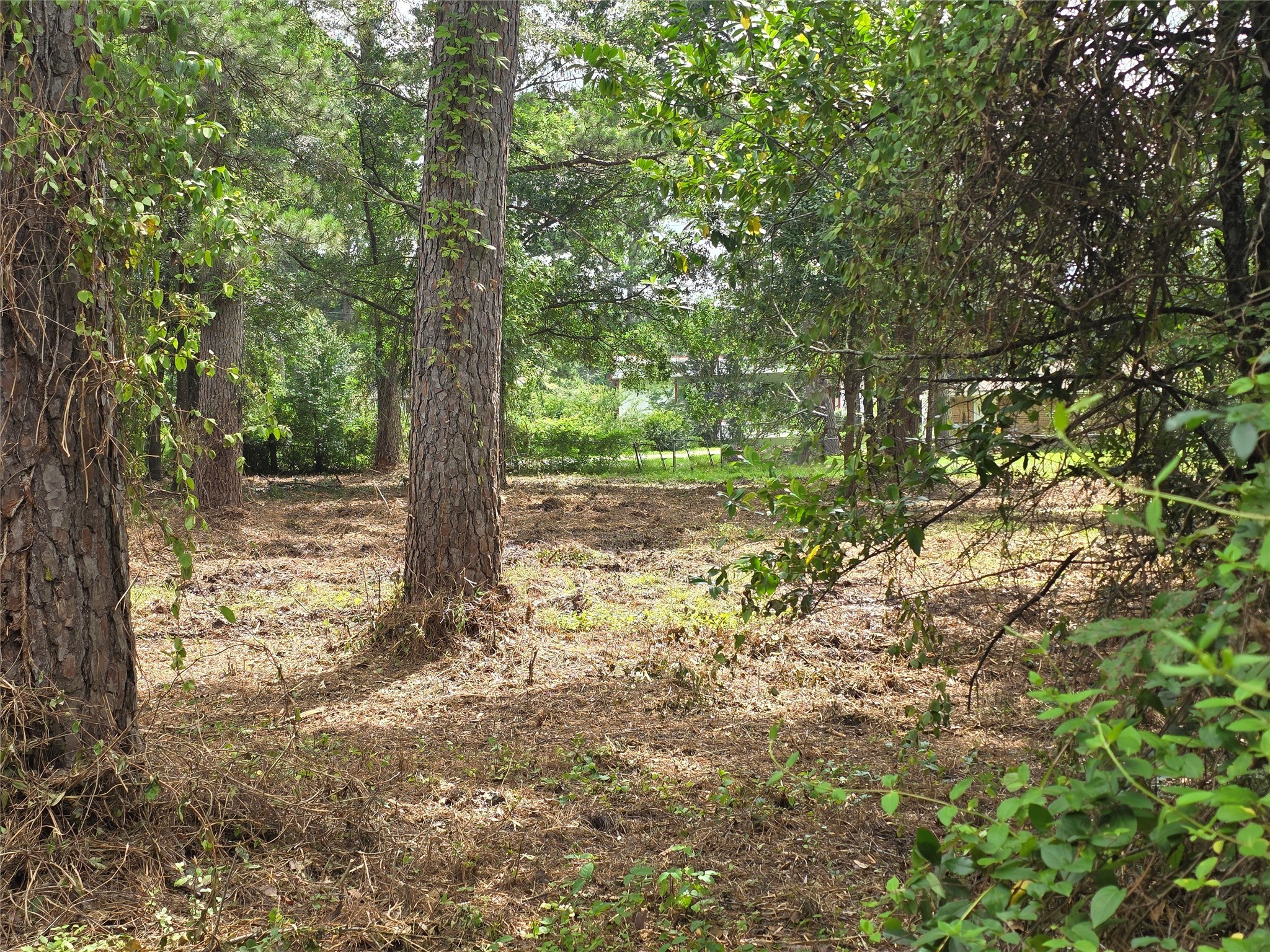 20812 Clinton, Chandler, TX, 75758