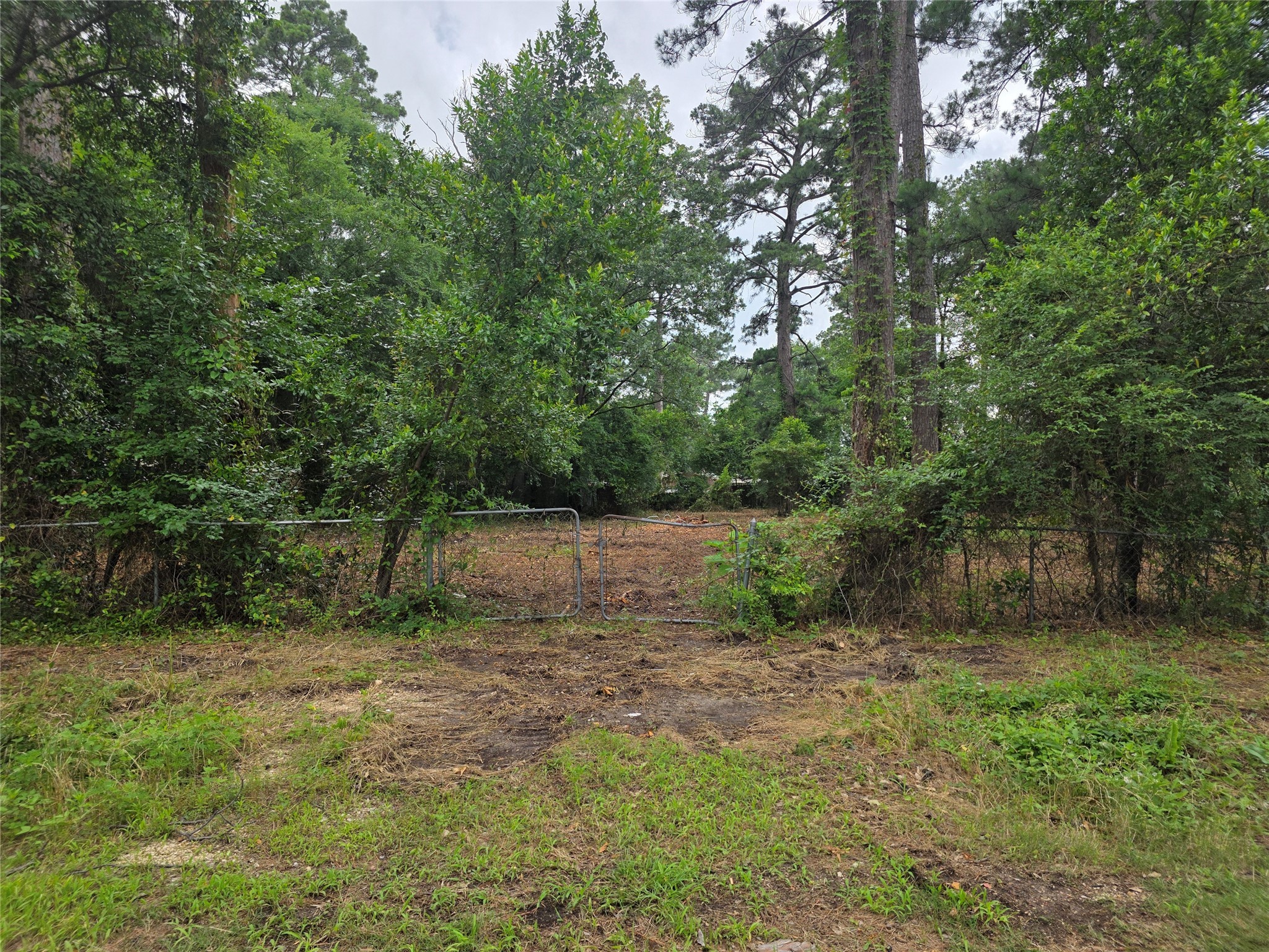 20812 Clinton, Chandler, TX, 75758