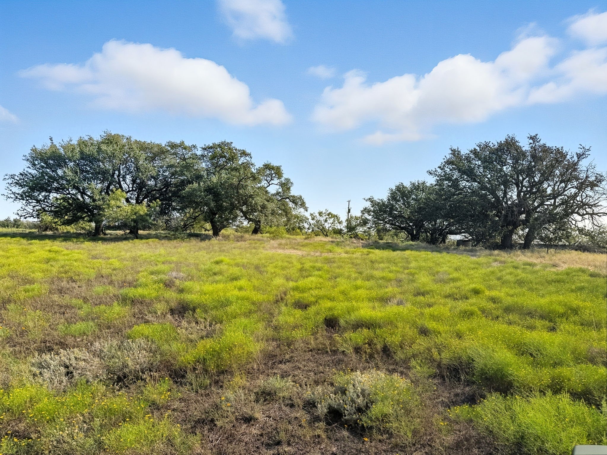 Property photo 01 of TBD FM 221, Pottsville, TX 76565 | MLS #21061359
