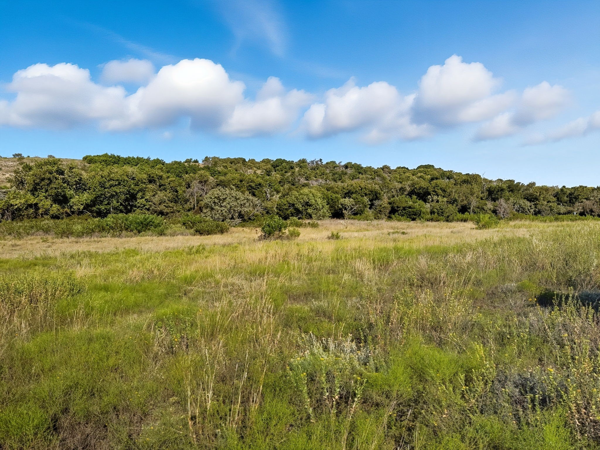 Property photo 02 of TBD FM 221, Pottsville, TX 76565 | MLS #21061359